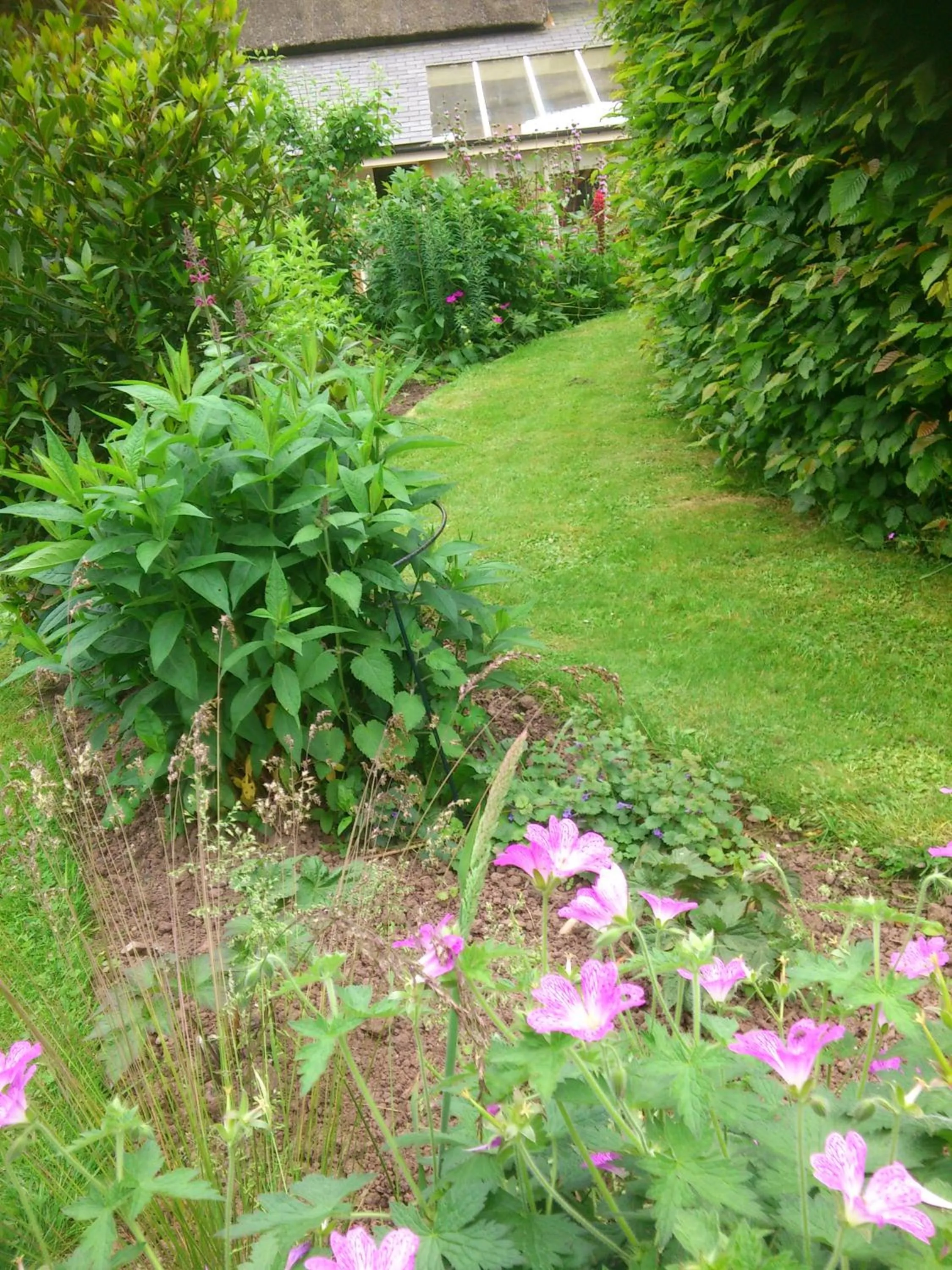 Garden in The Steppes Holiday Cottages