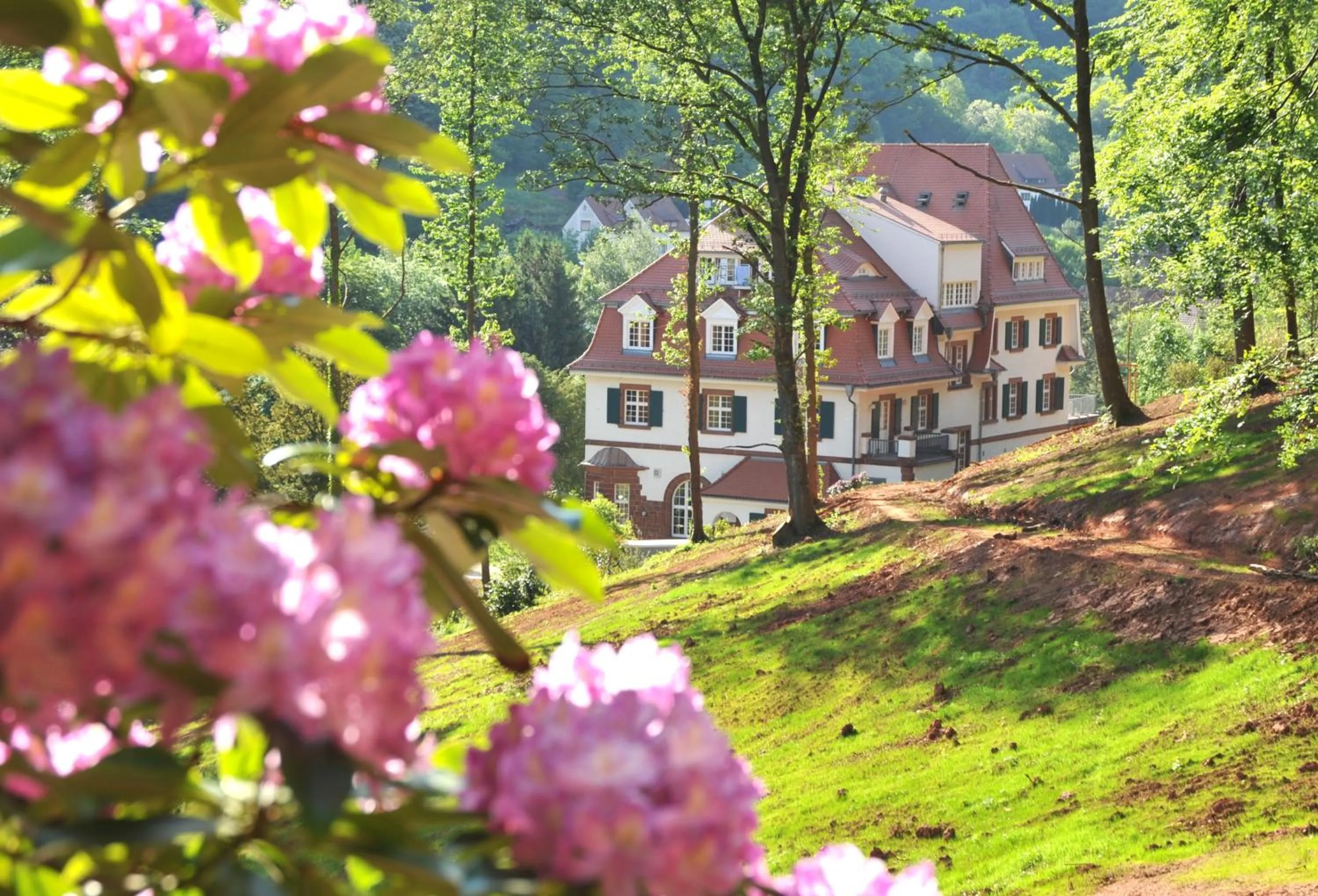 Property building in Jugendstilhotel Trifels