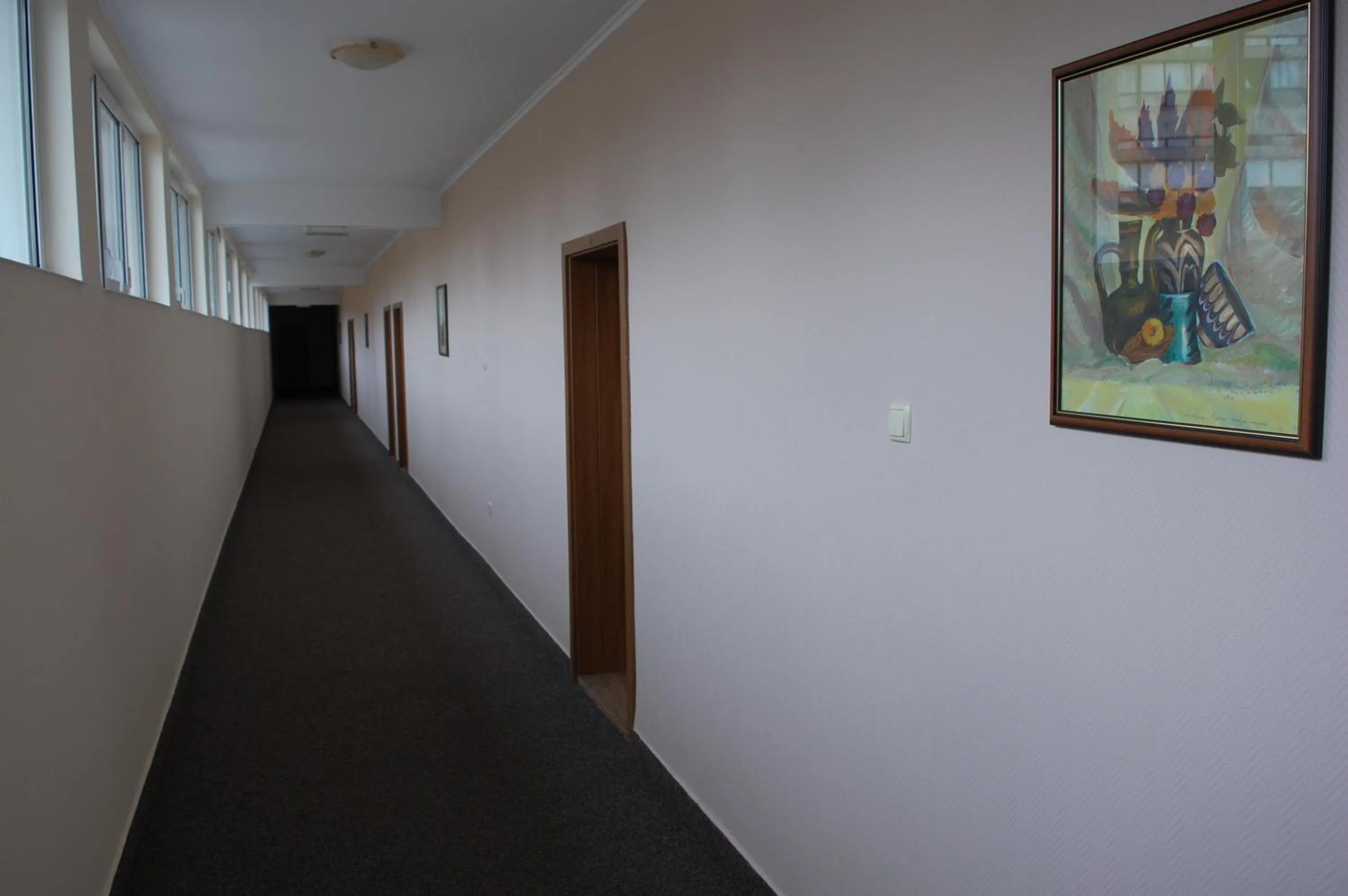 Hotel Vitosha