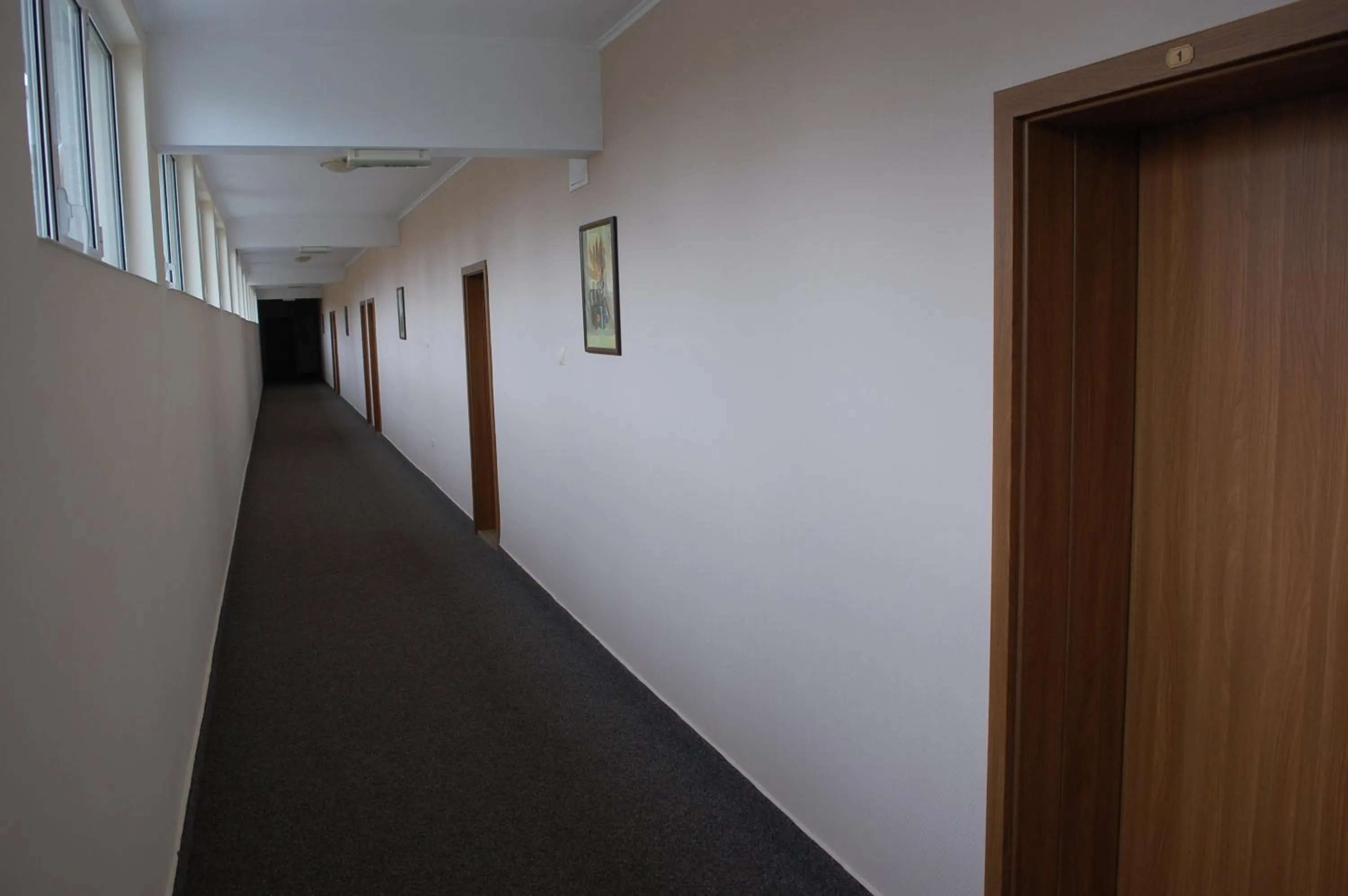 Hotel Vitosha