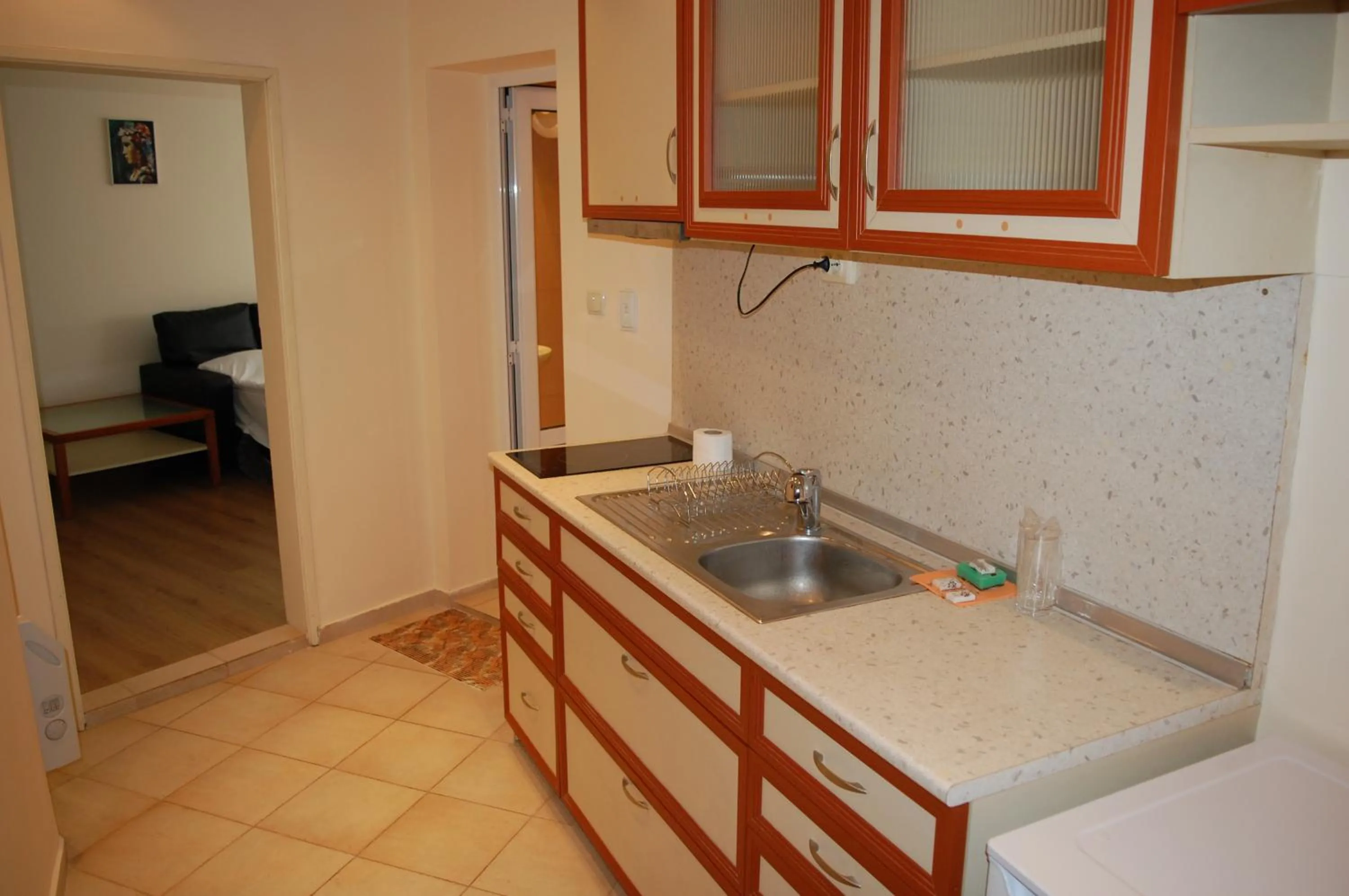 Hotel Vitosha