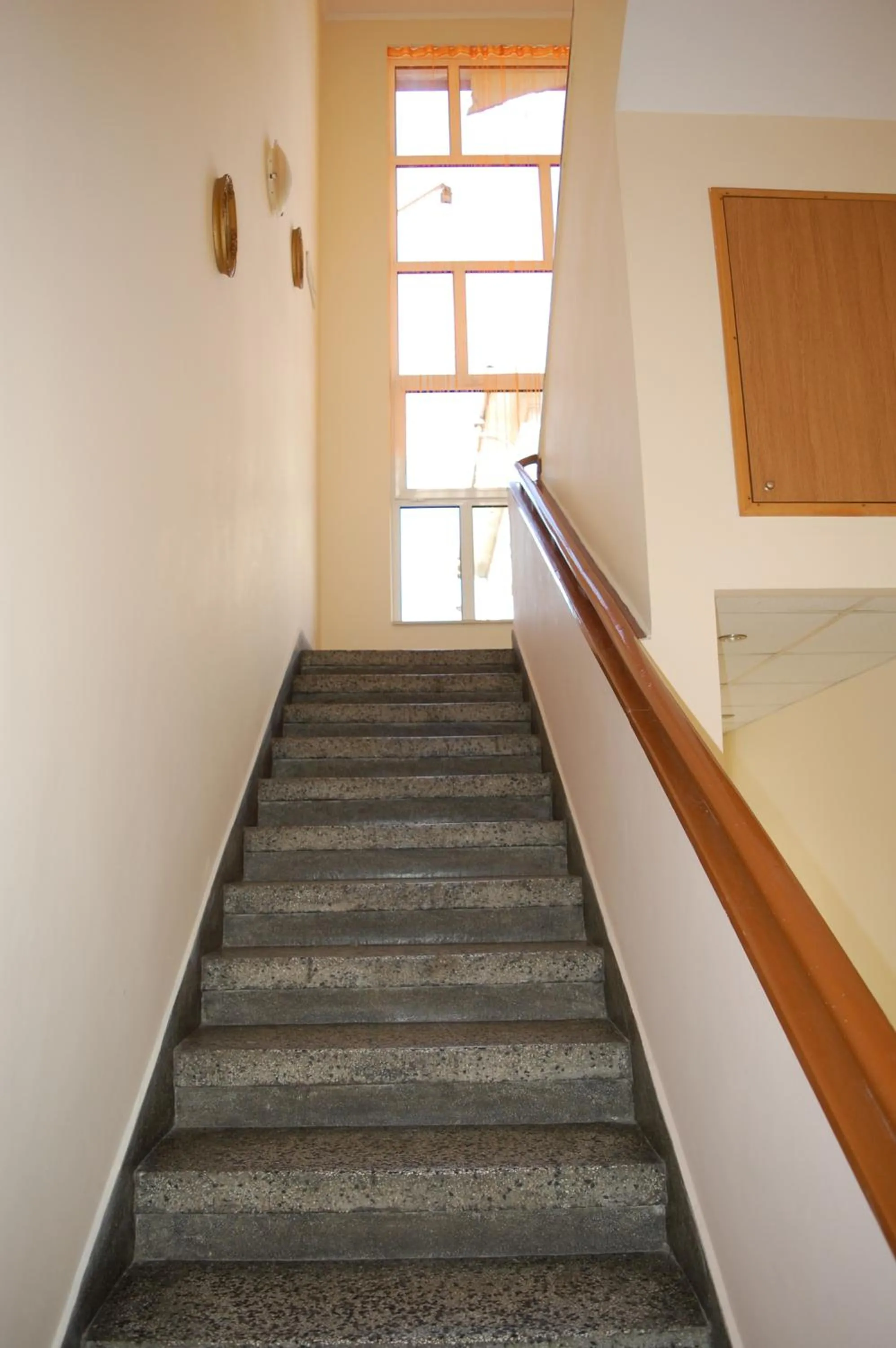 Hotel Vitosha