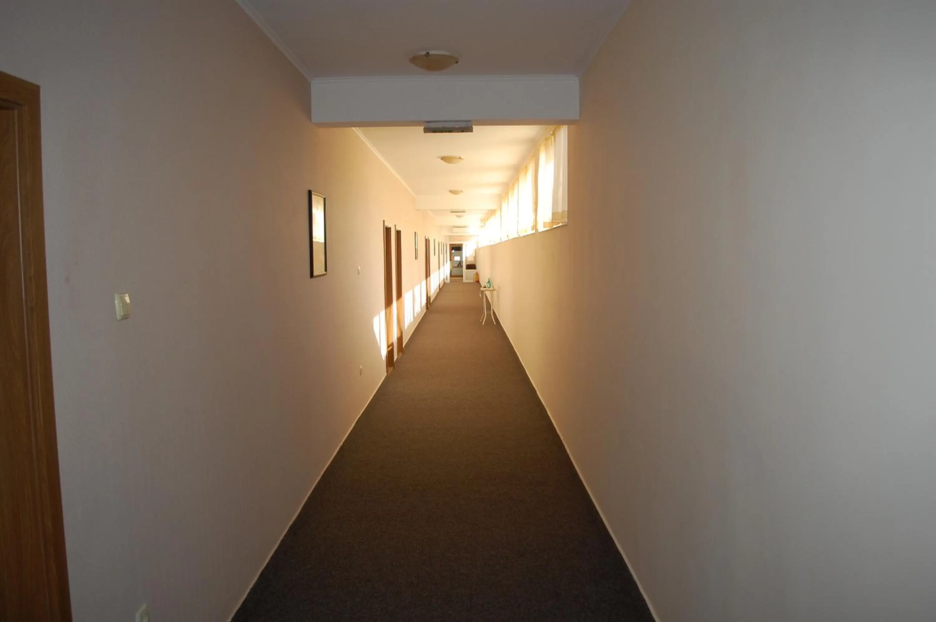 Hotel Vitosha