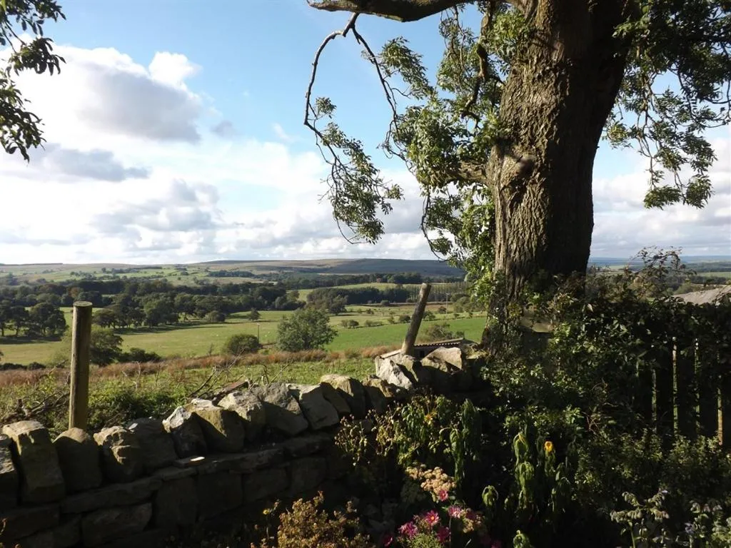 View (from property/room) in Hillis Close Farm