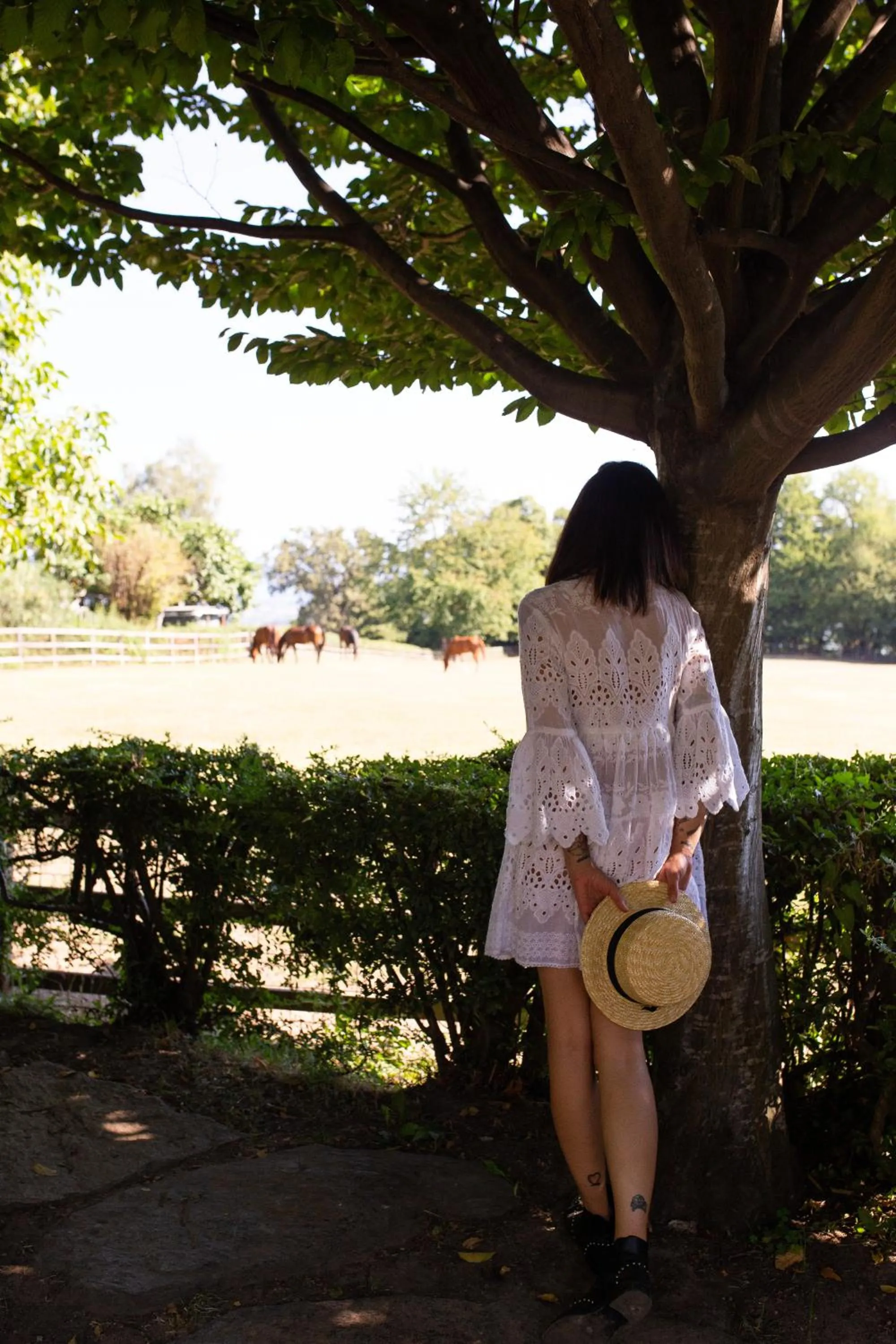 Garden in La Cucchetta