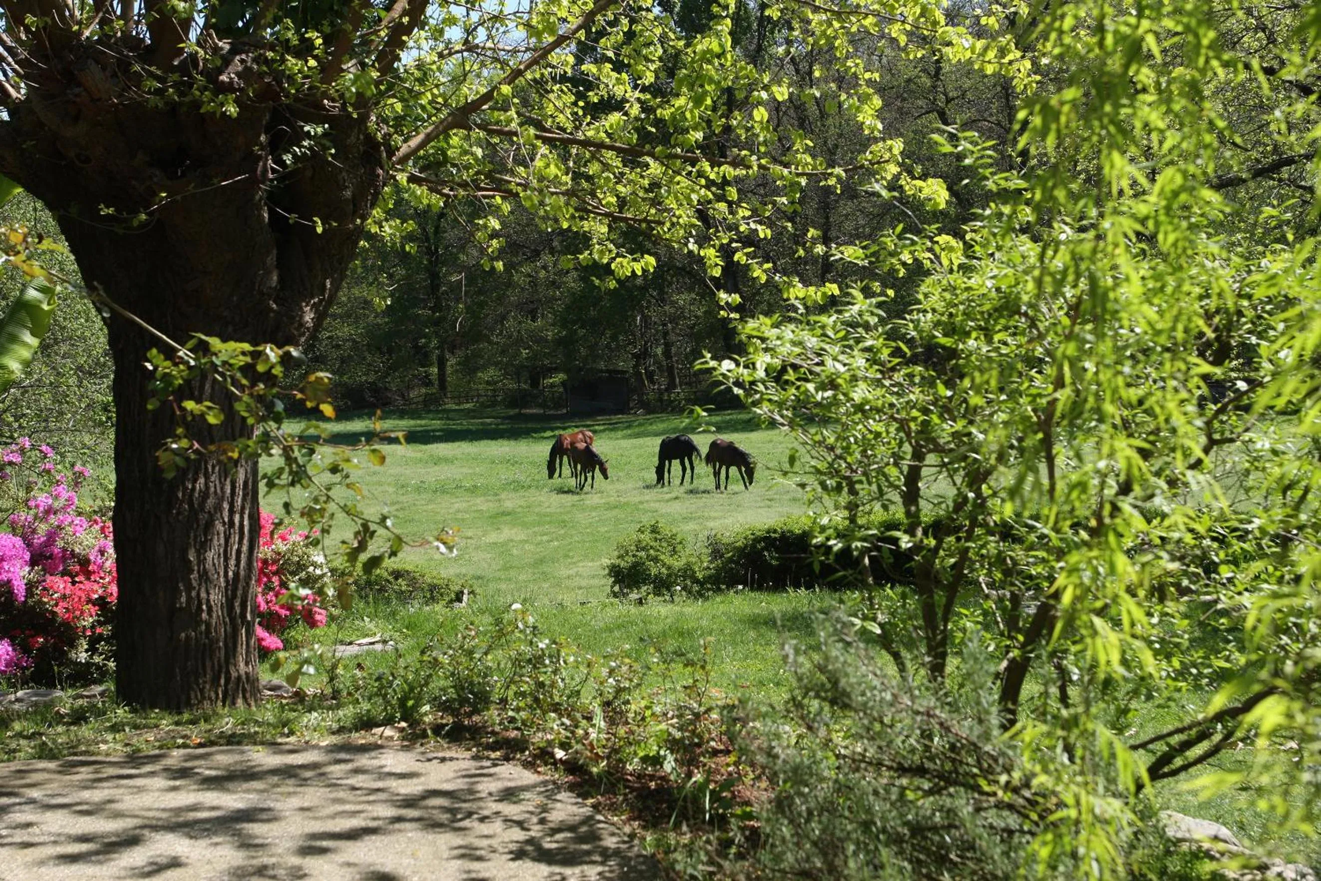 Garden in La Cucchetta