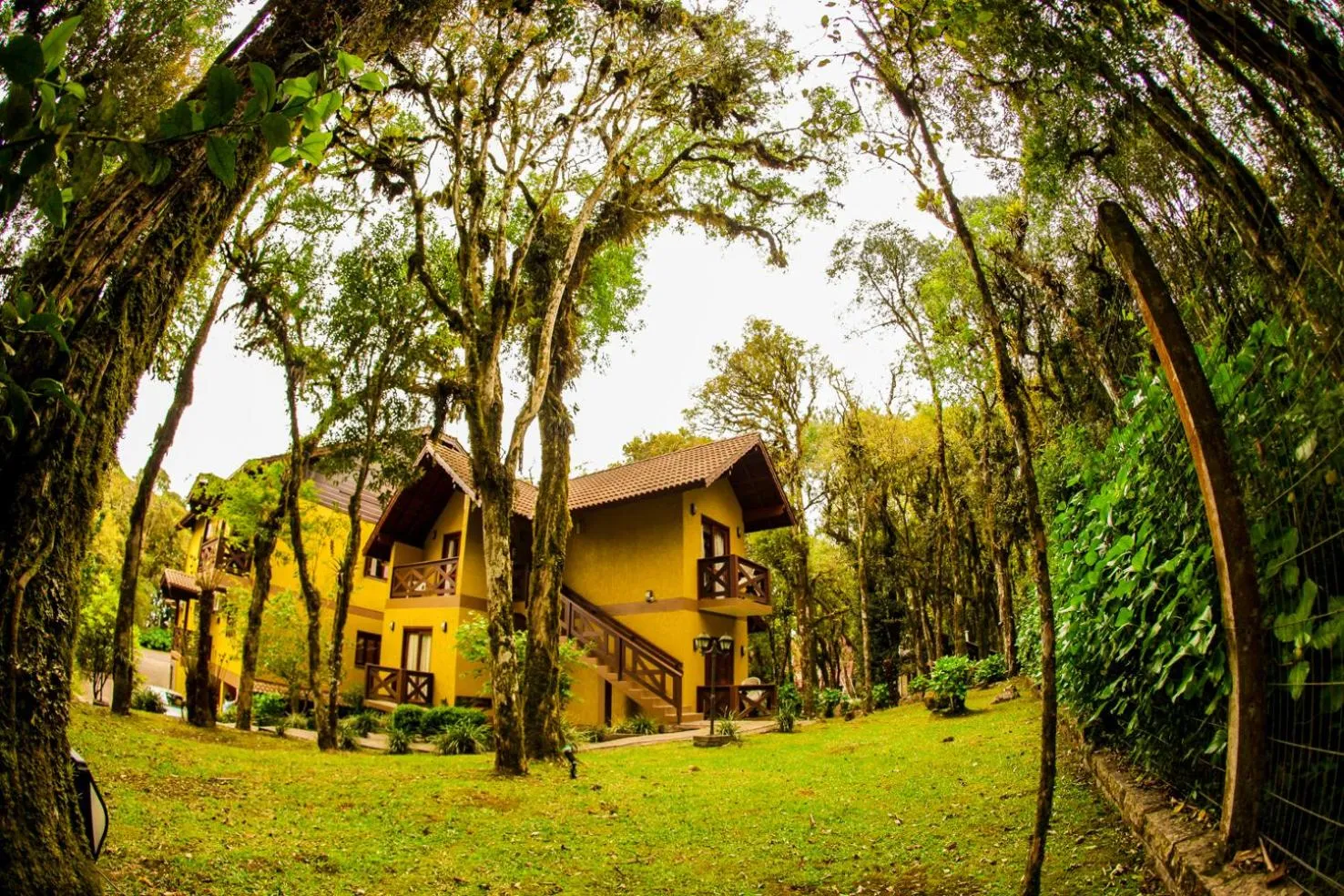 Garden in Pousada Das Papoulas