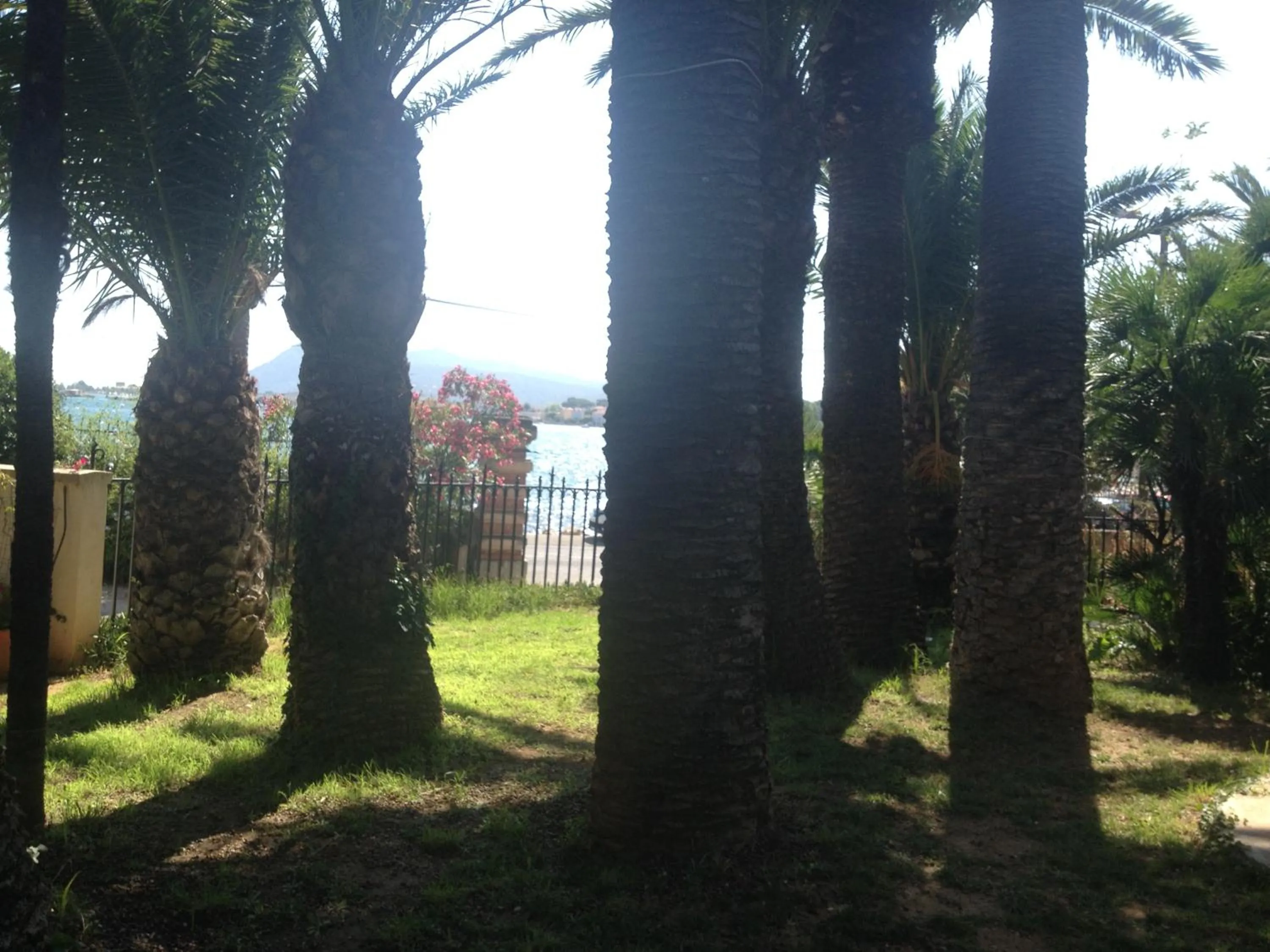 Garden view in La Mandarinette