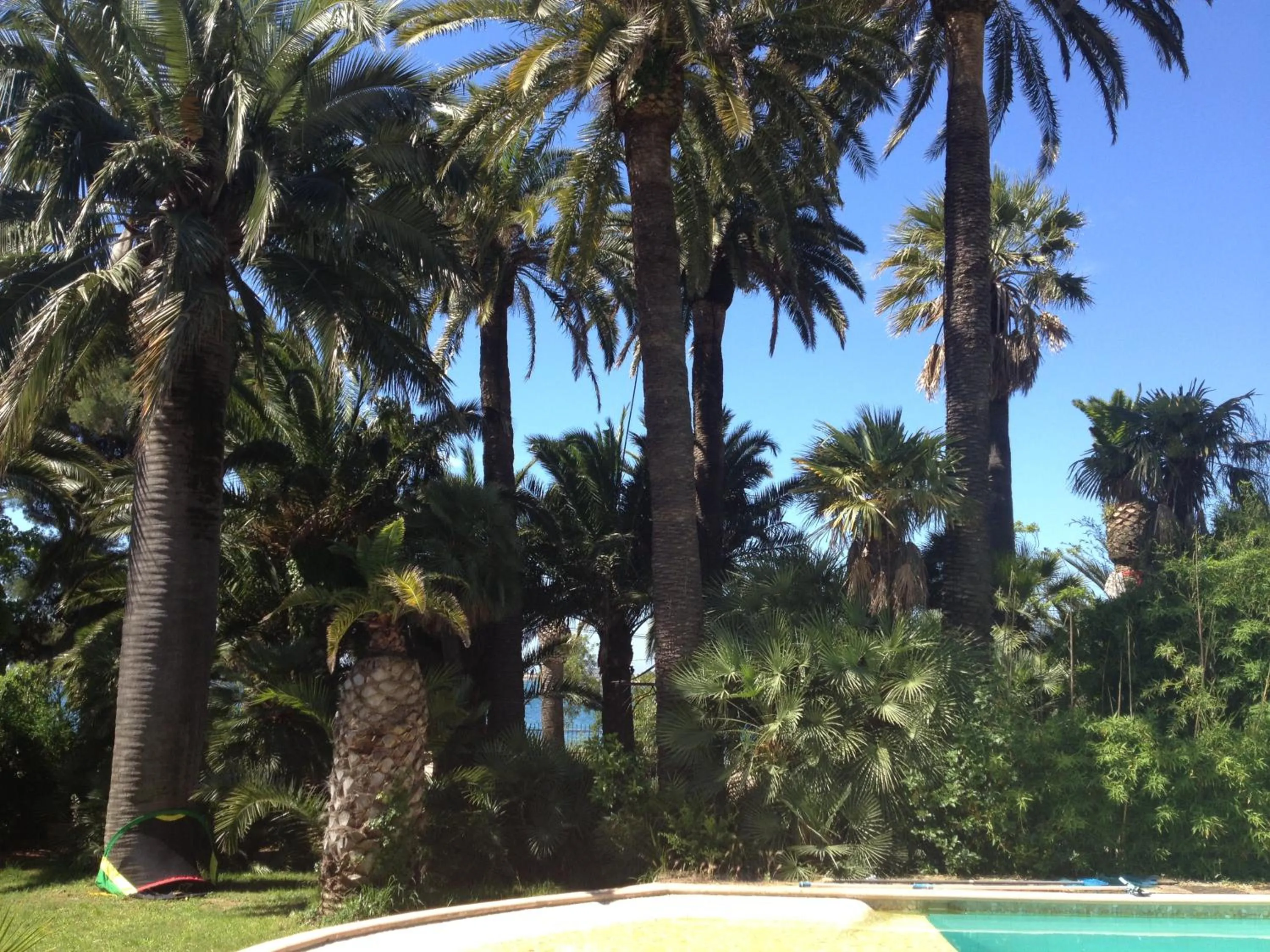 Garden in La Mandarinette