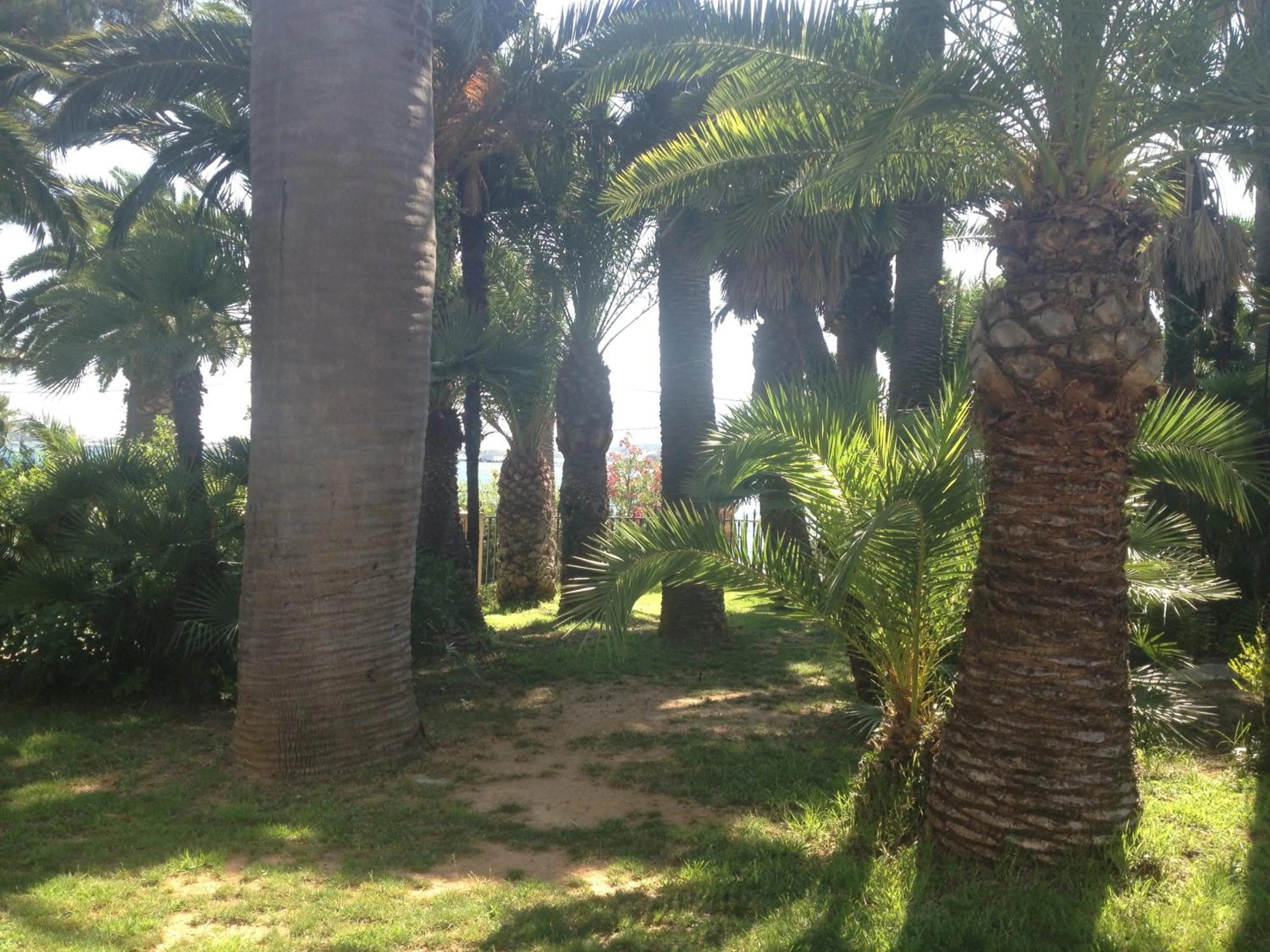 Garden in La Mandarinette