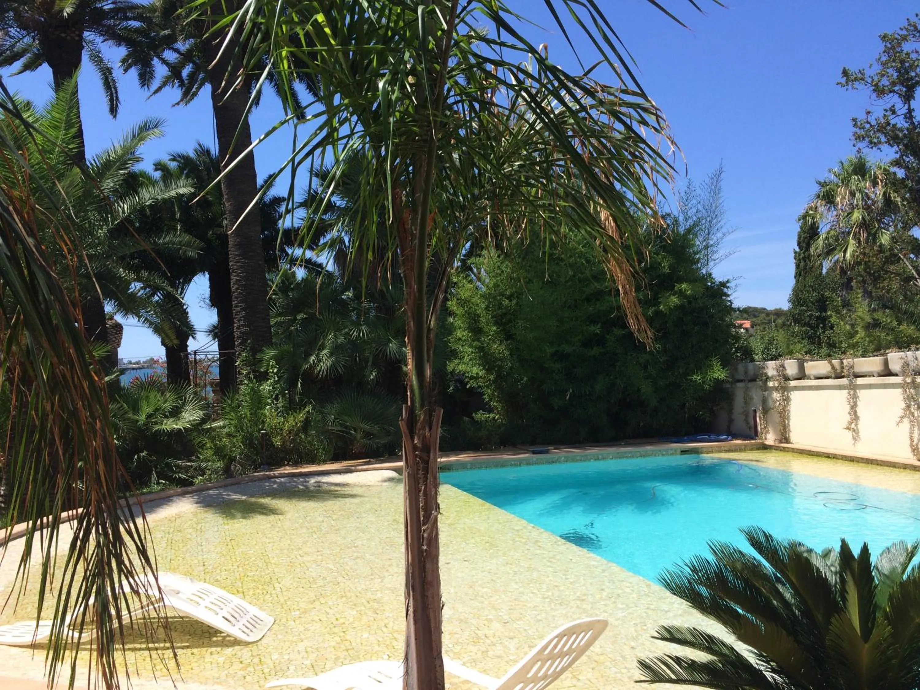 Pool view in La Mandarinette