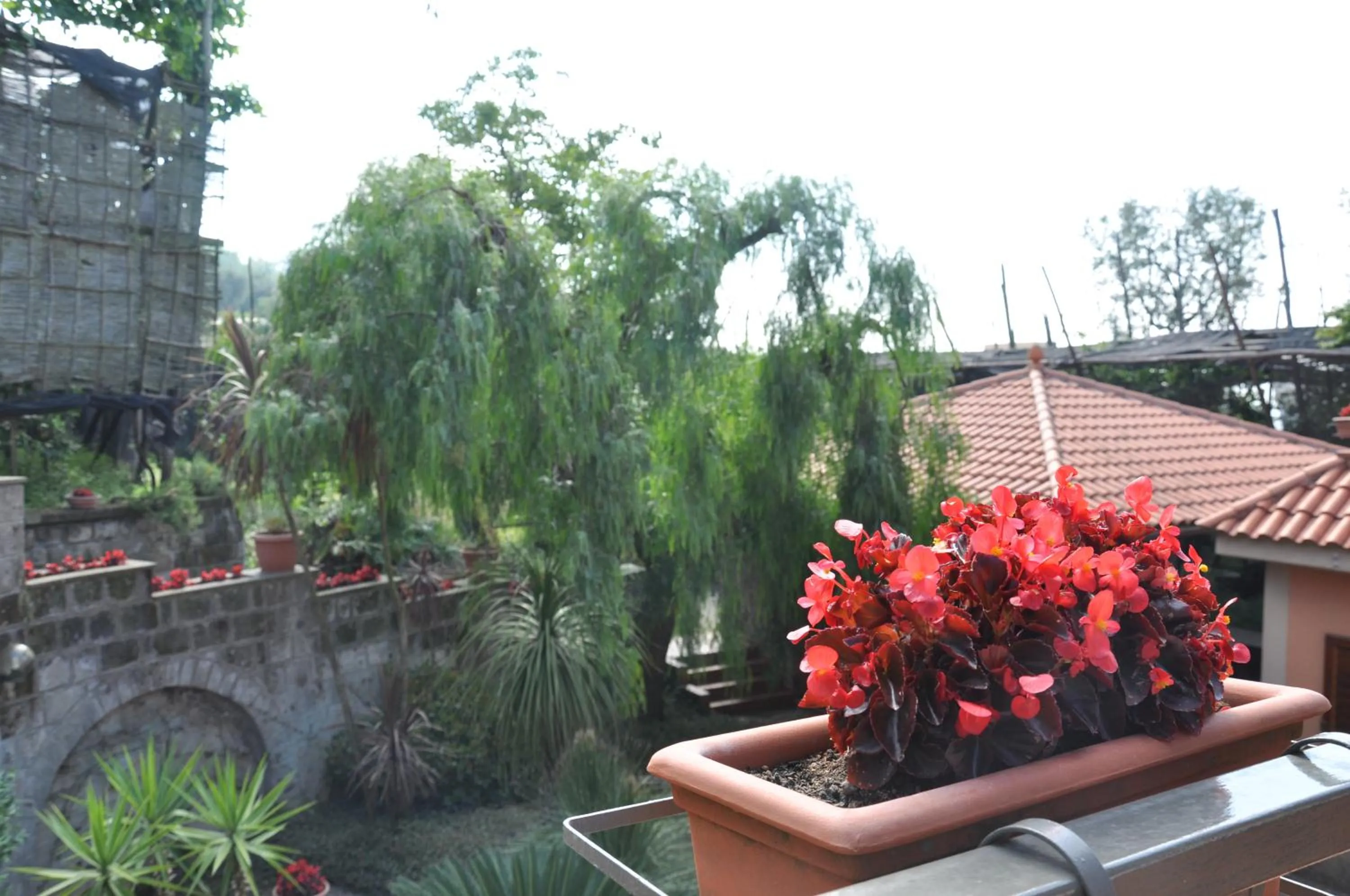 Garden view in Bed and Lemons