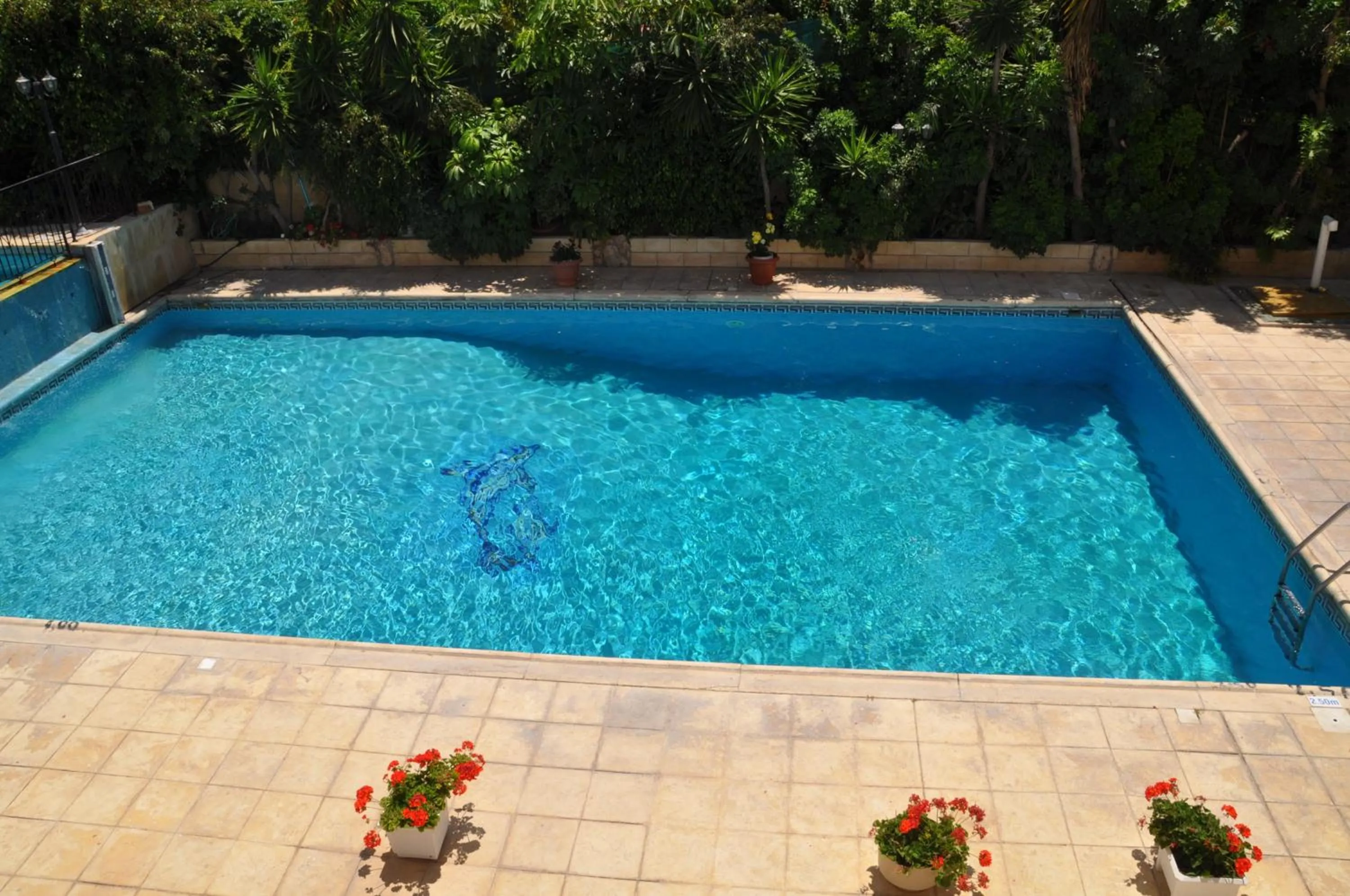 Swimming pool in Mariela Hotel Apartments