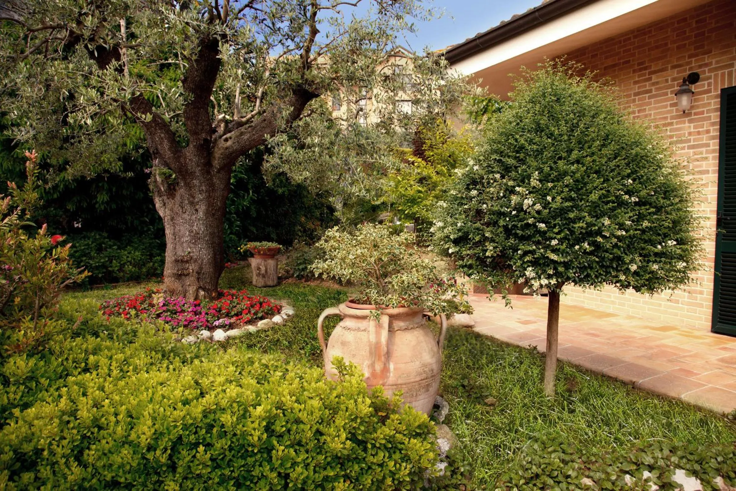 Garden in Ai Quattro Ulivi B&B