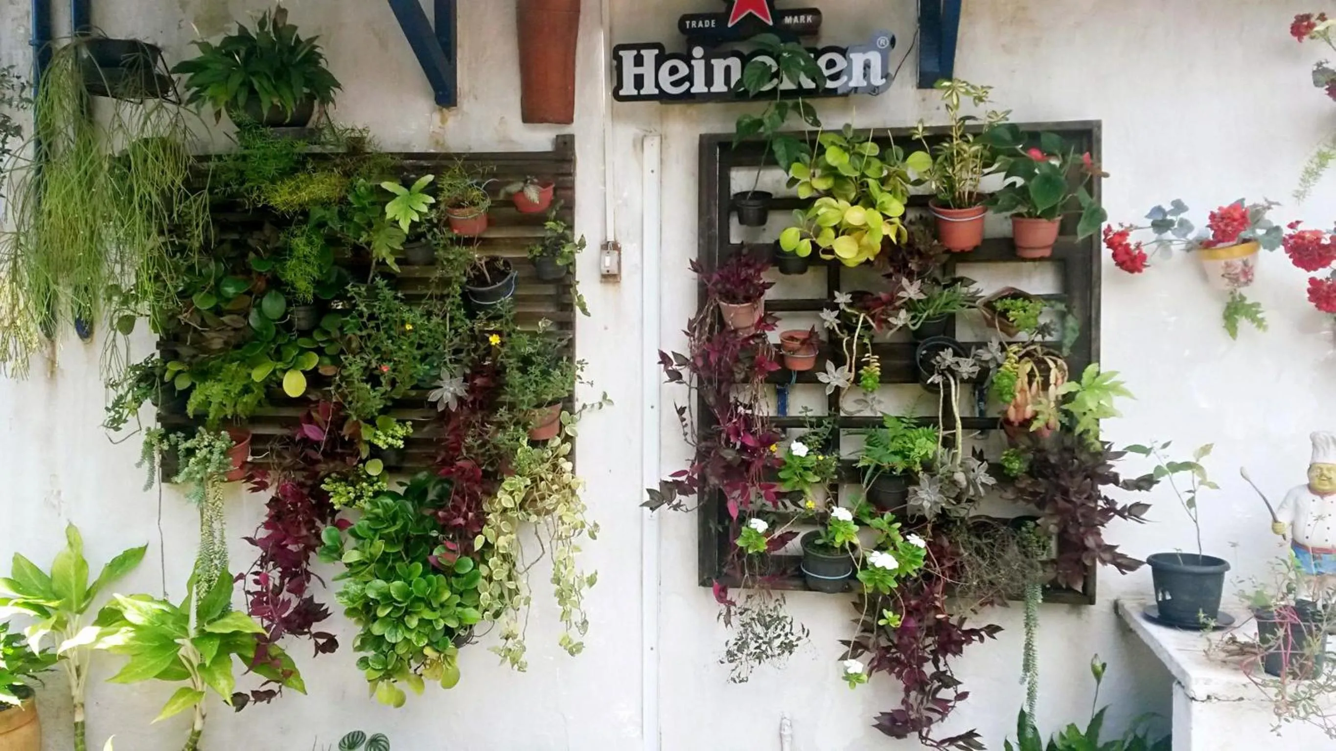 Garden in Pousada Via Maria