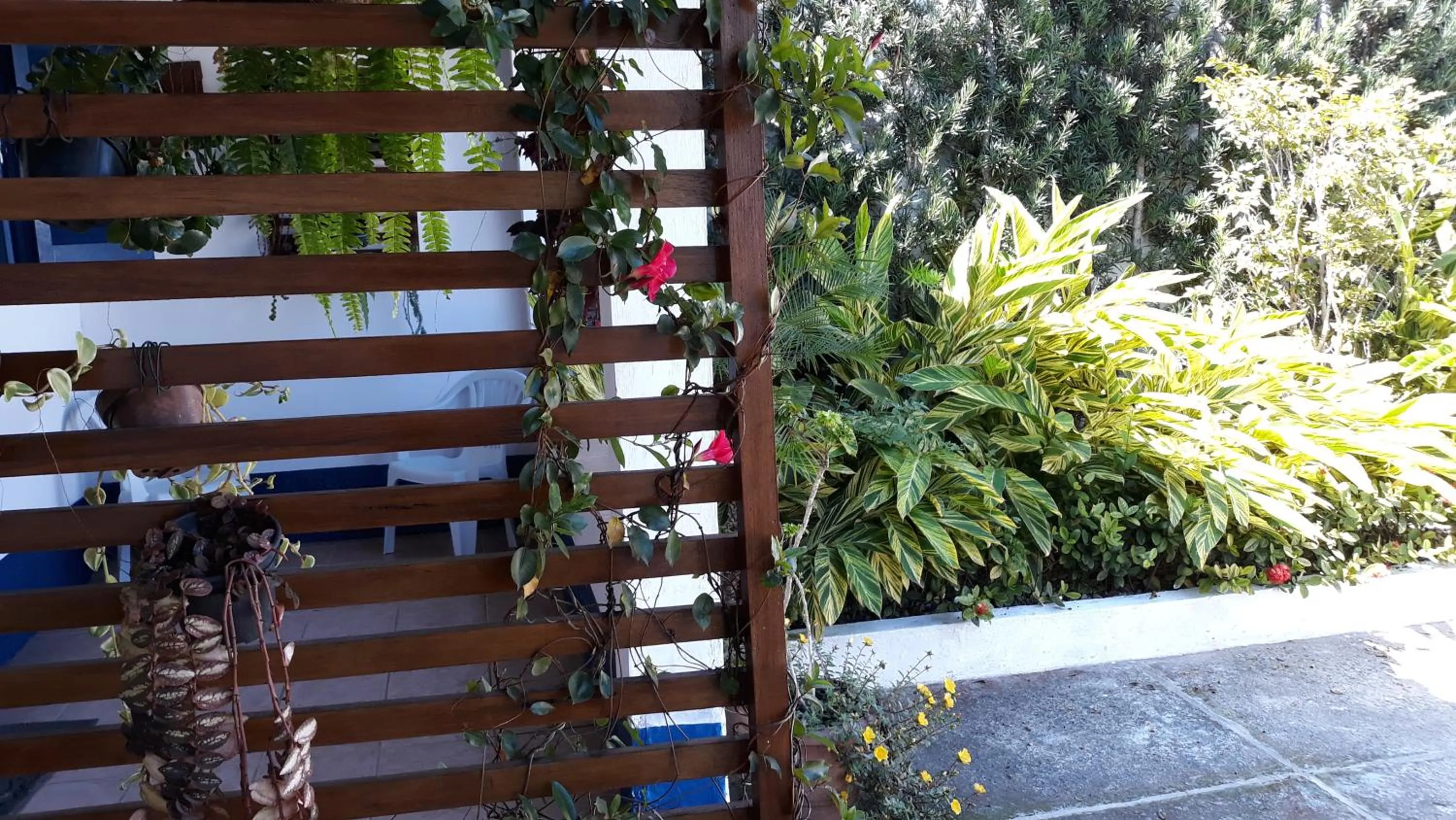 Garden in Pousada Via Maria