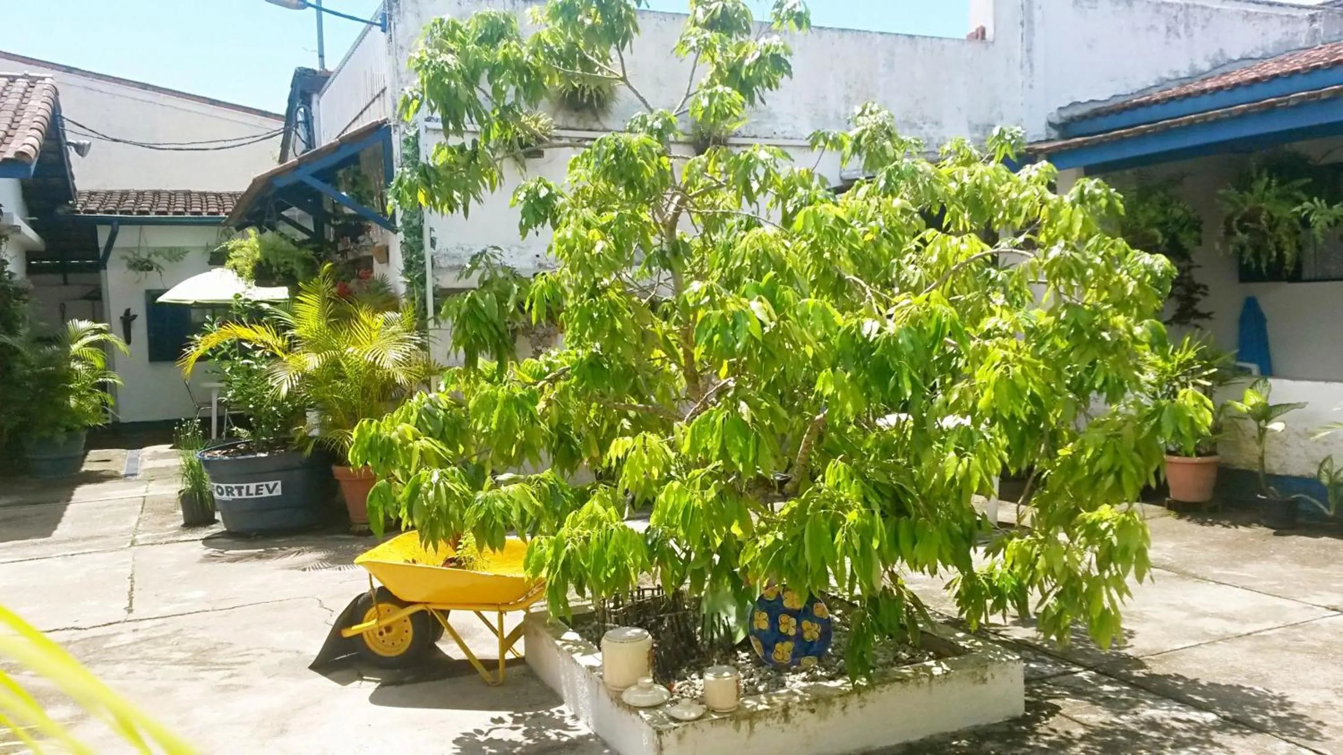Garden in Pousada Via Maria