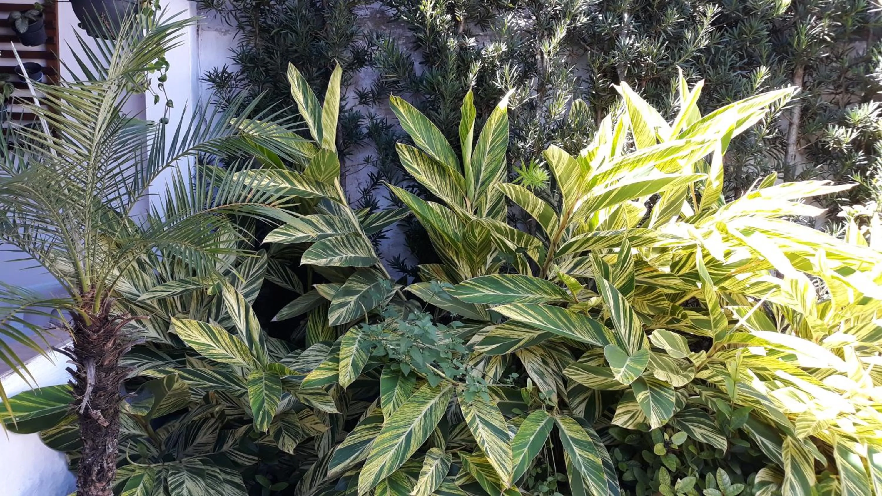 Garden in Pousada Via Maria