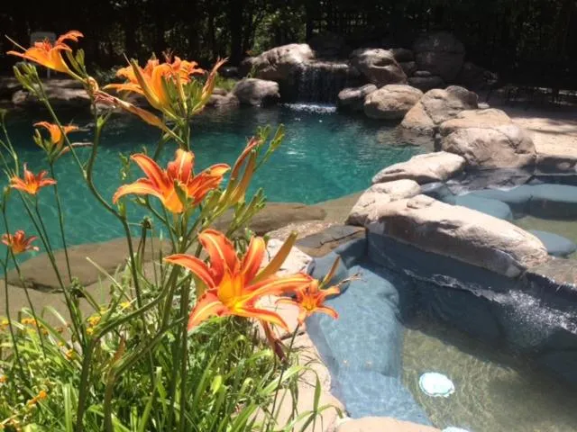 Swimming pool in Lazy Z Resort