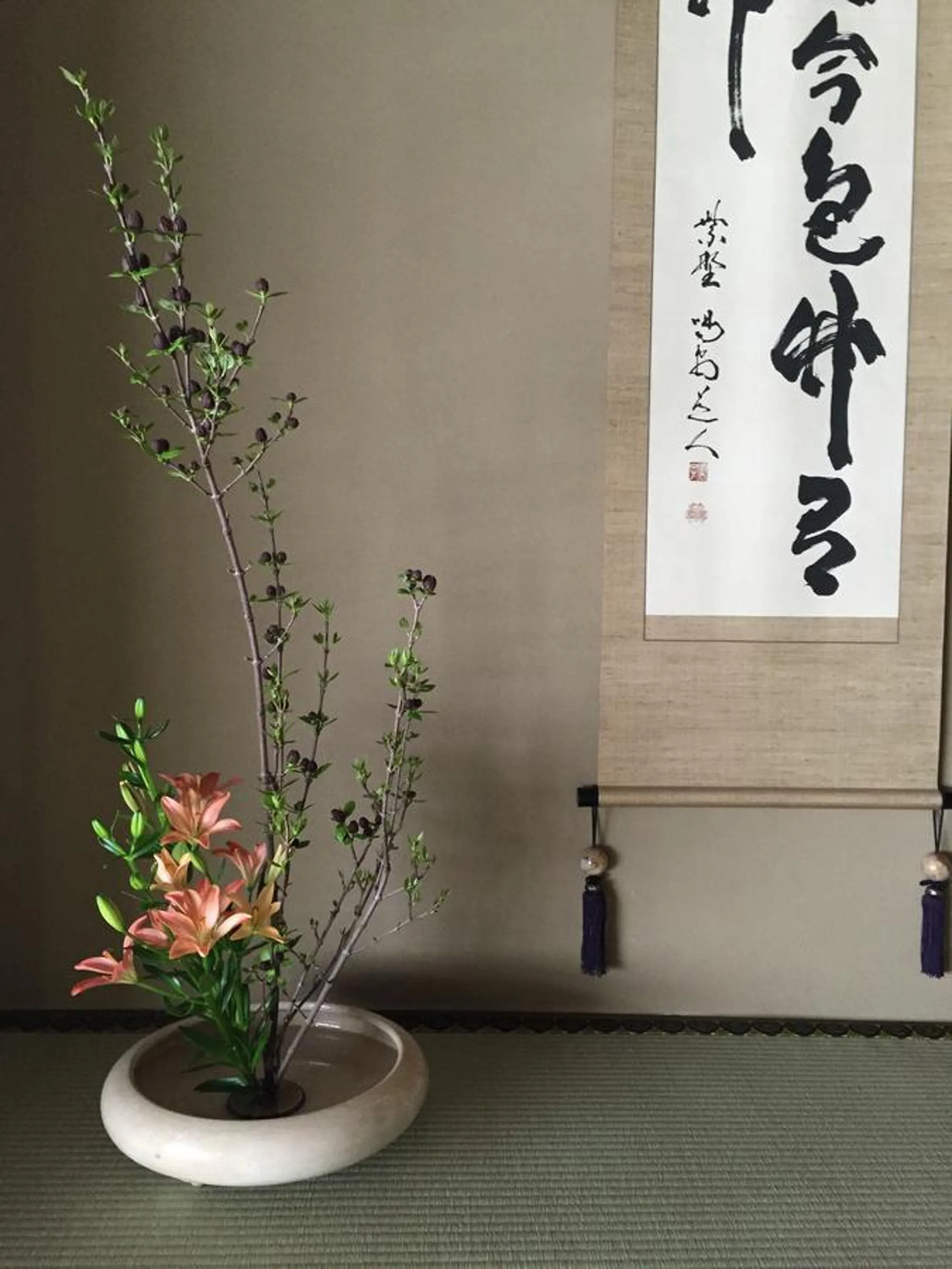 Spring in Mitsuki Kyoto