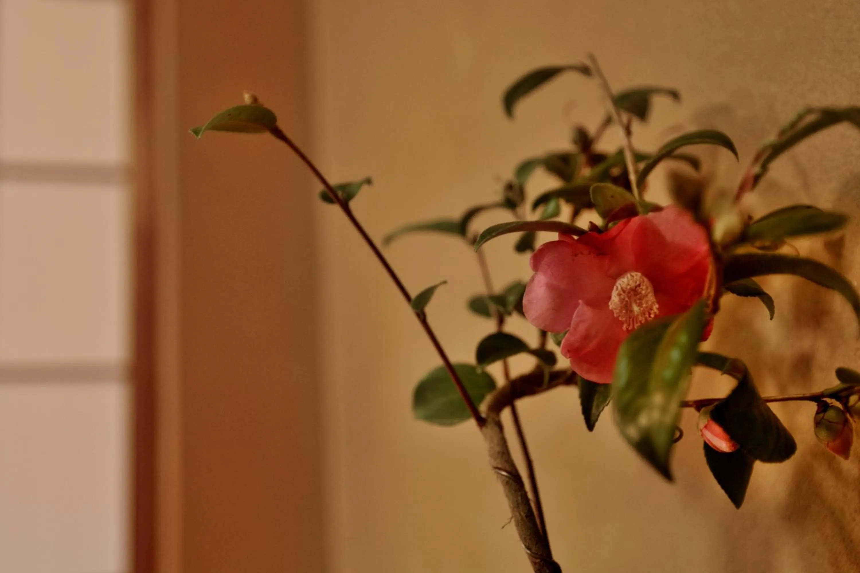 Decorative detail in Mitsuki Kyoto