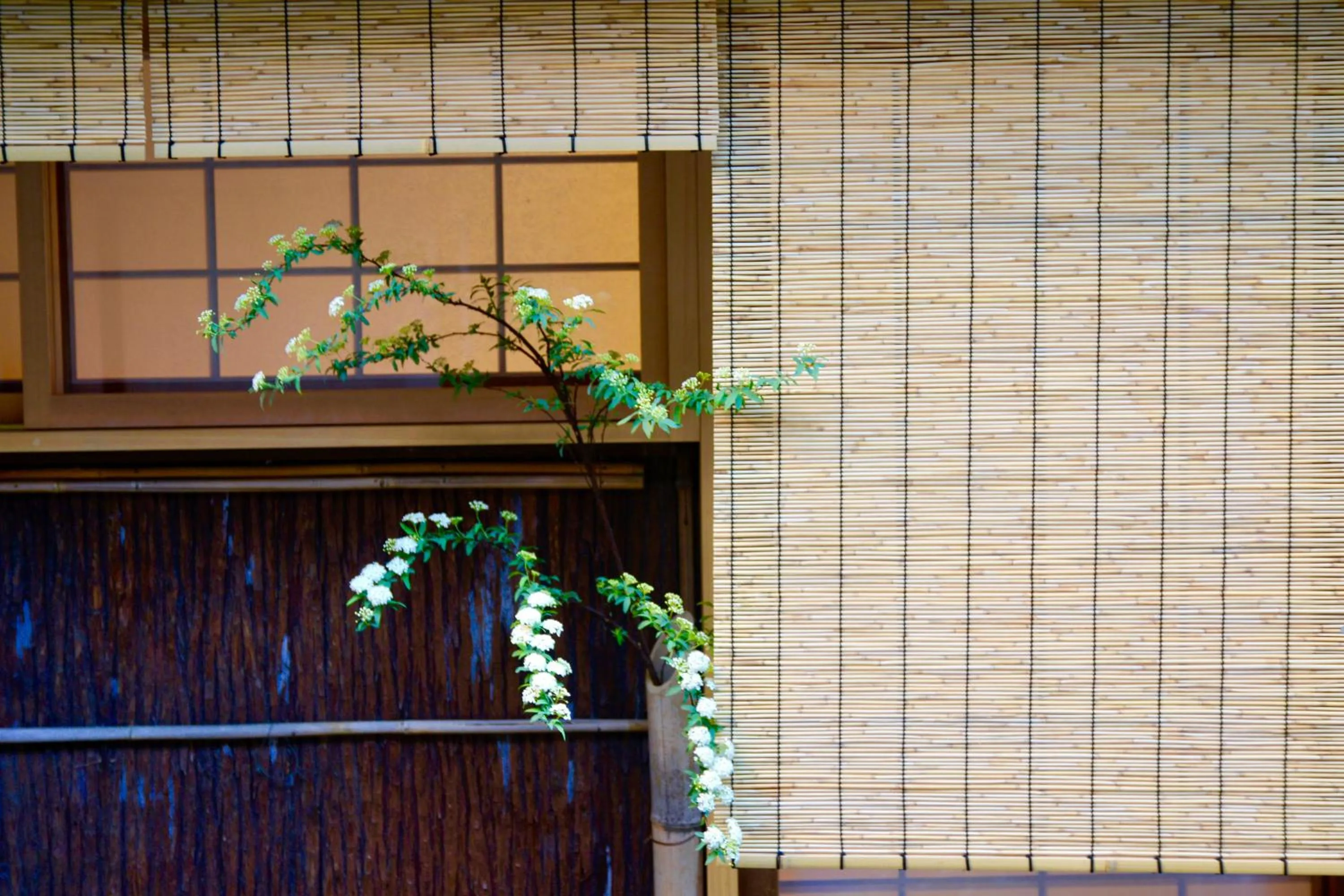 On site in Mitsuki Kyoto