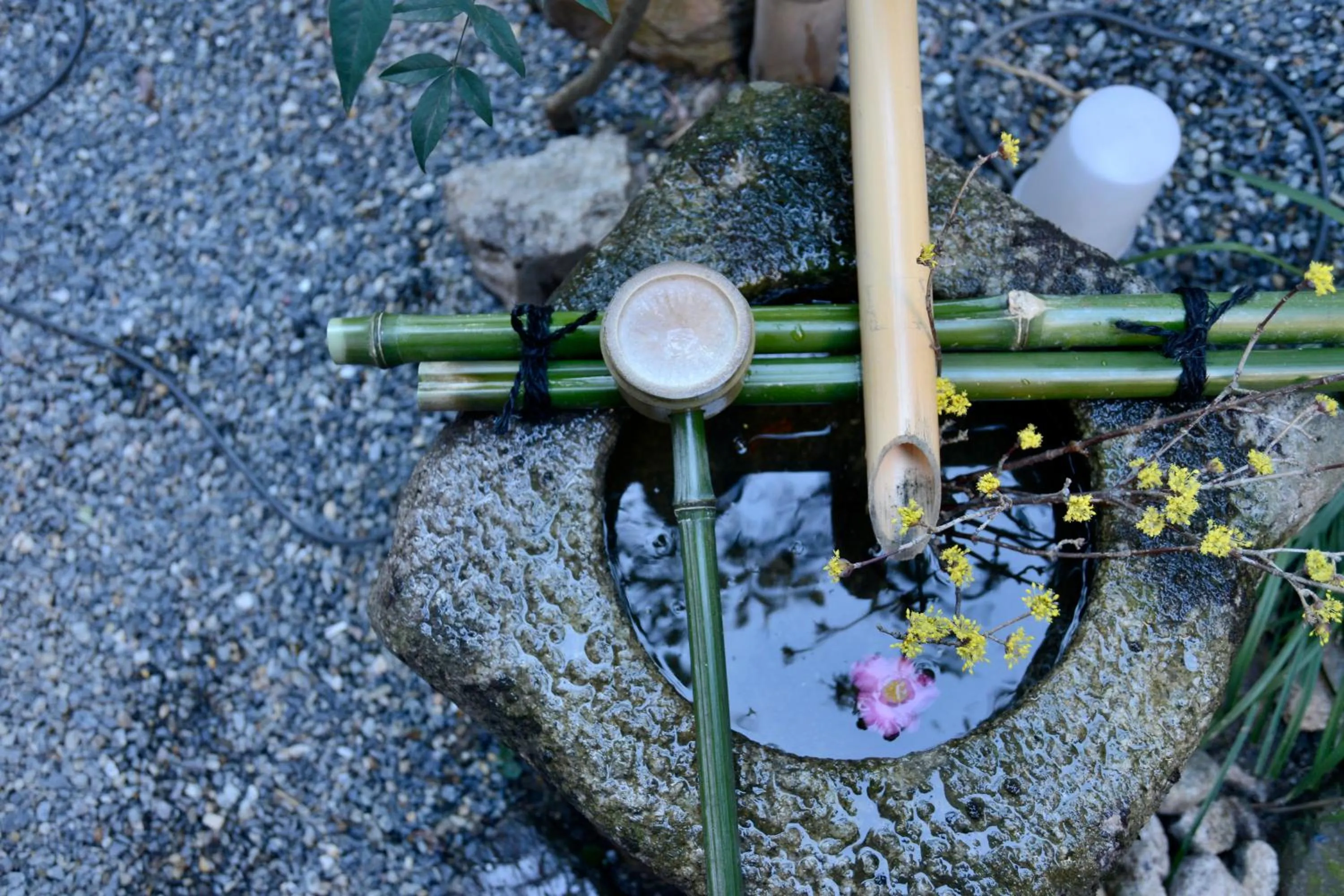 Garden in Mitsuki Kyoto