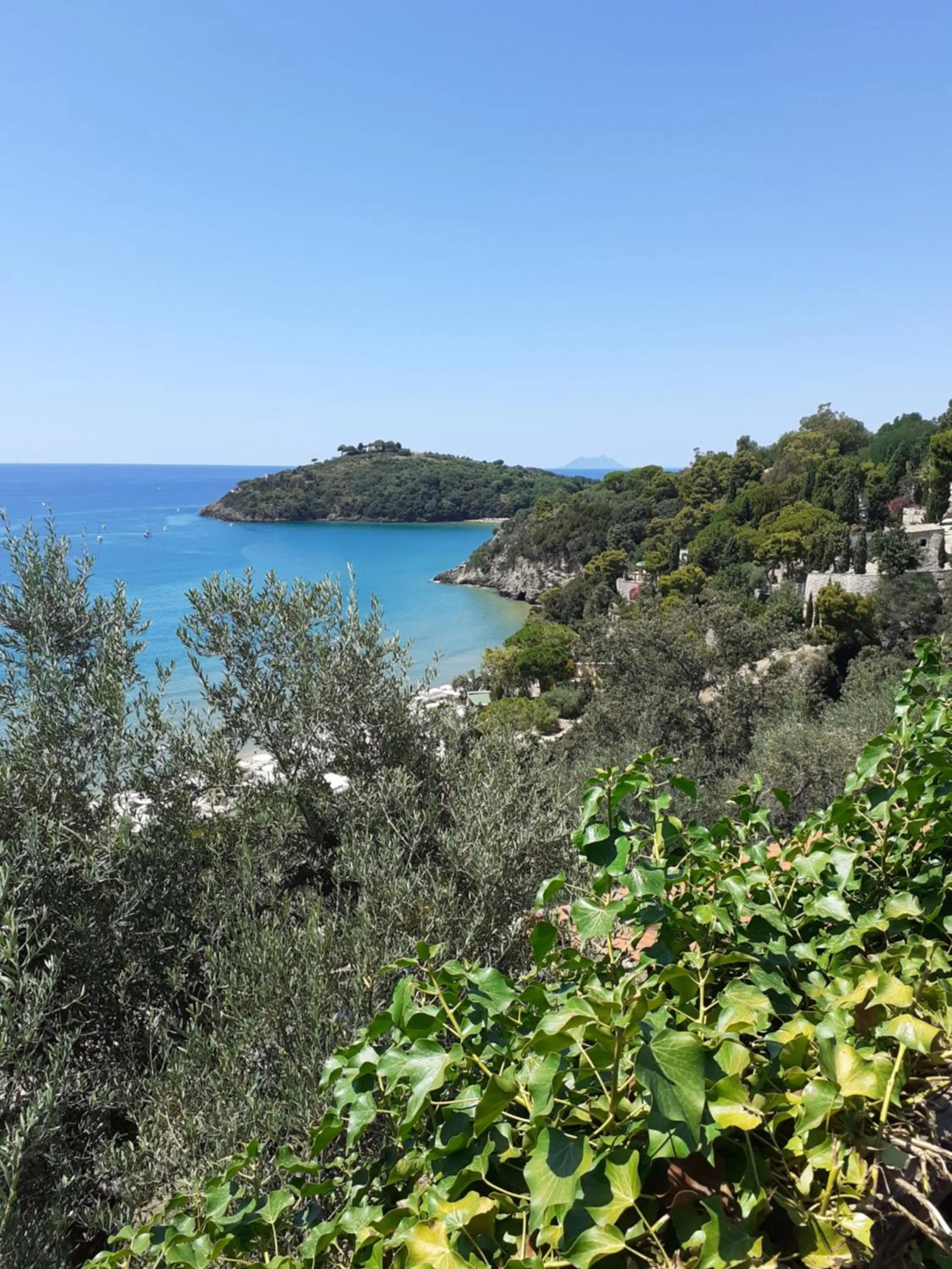 La Bouganville