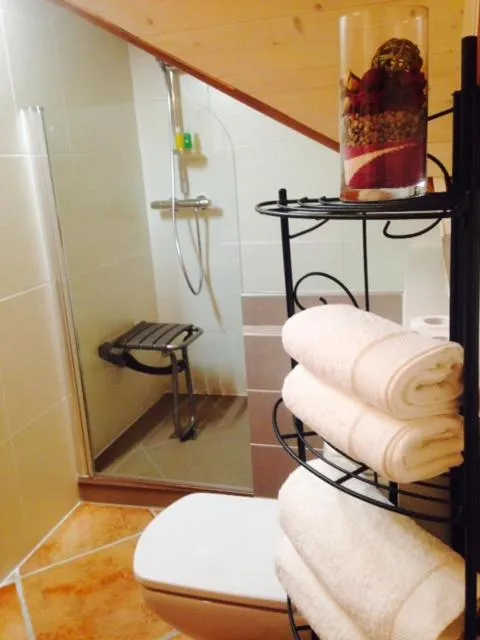 Shower in B&B Le Sourire du Lac
