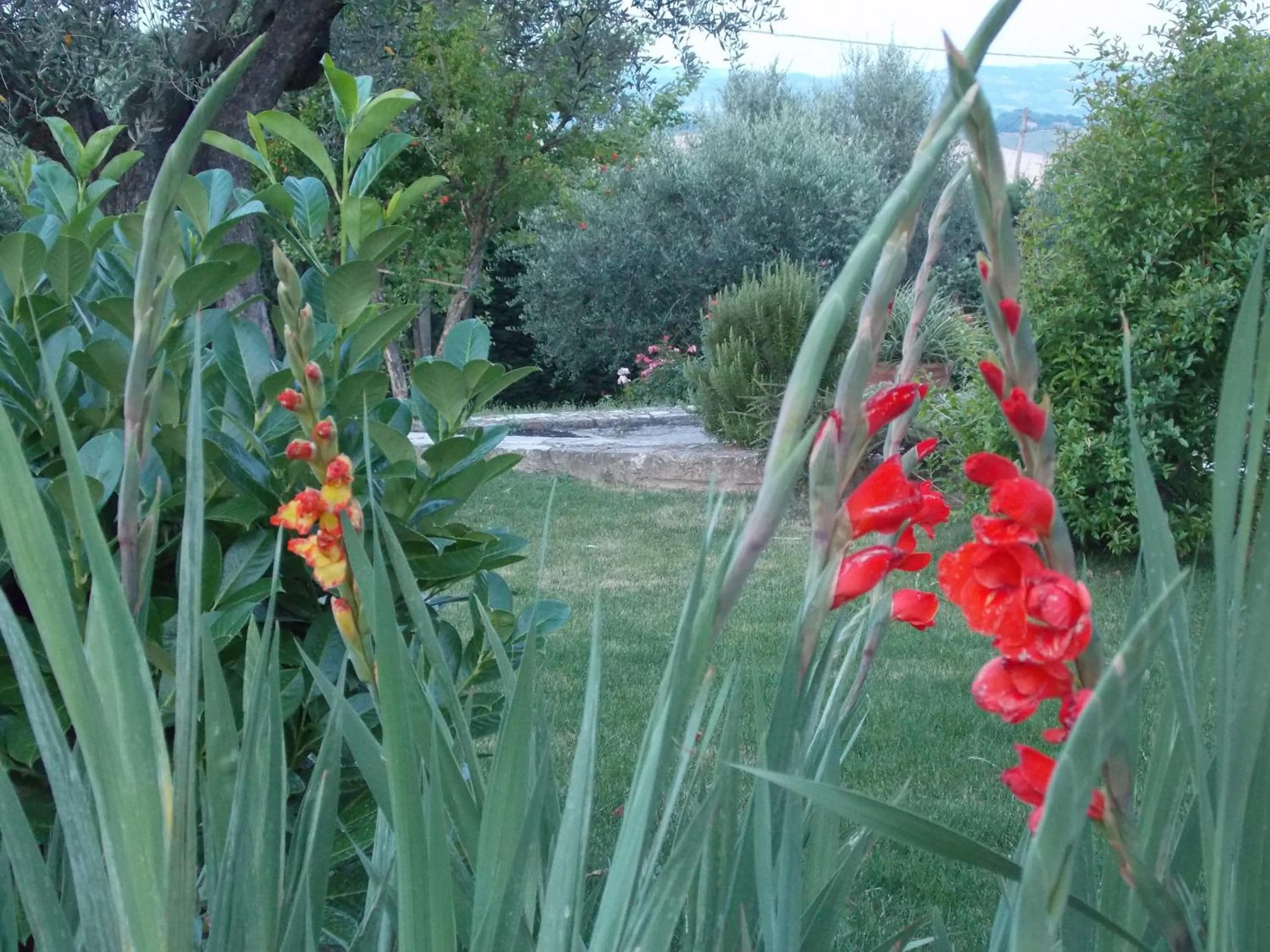 Garden view in B&B La Torretta
