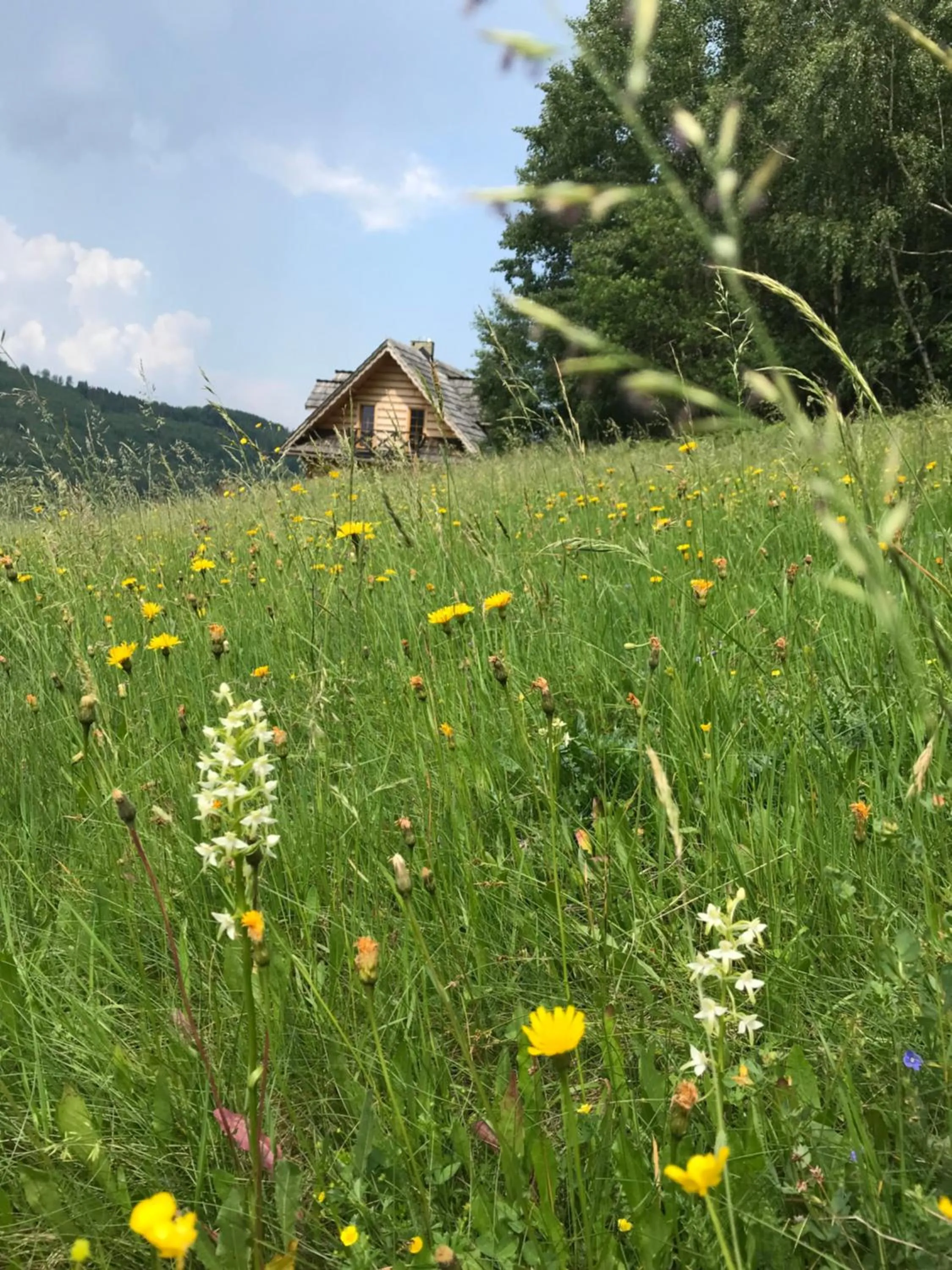 Dom Kawa na Kotarzu