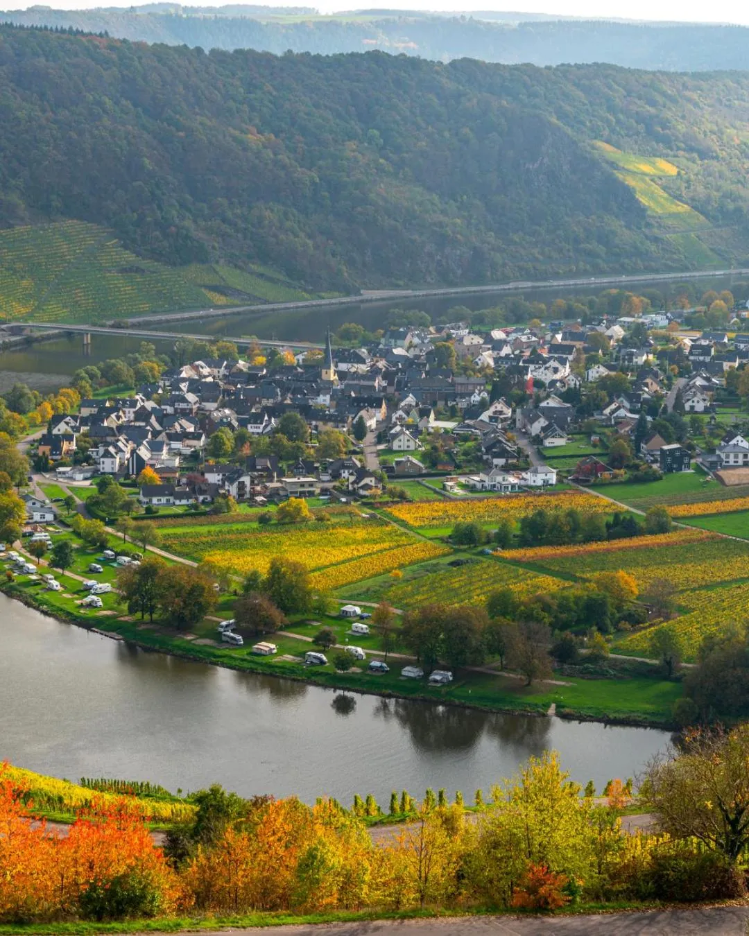 Natural landscape in Der Weinladen