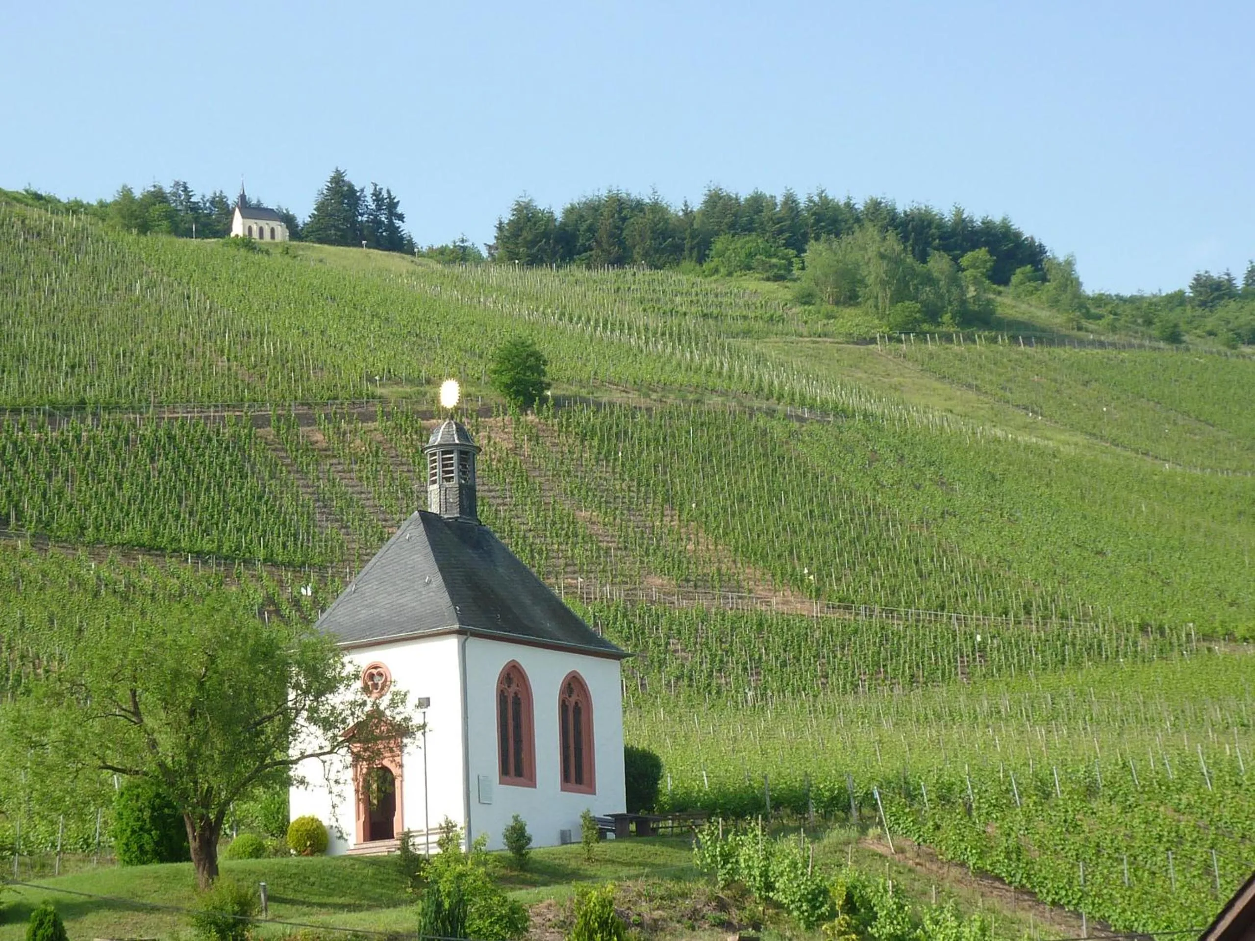 Natural landscape in Der Weinladen