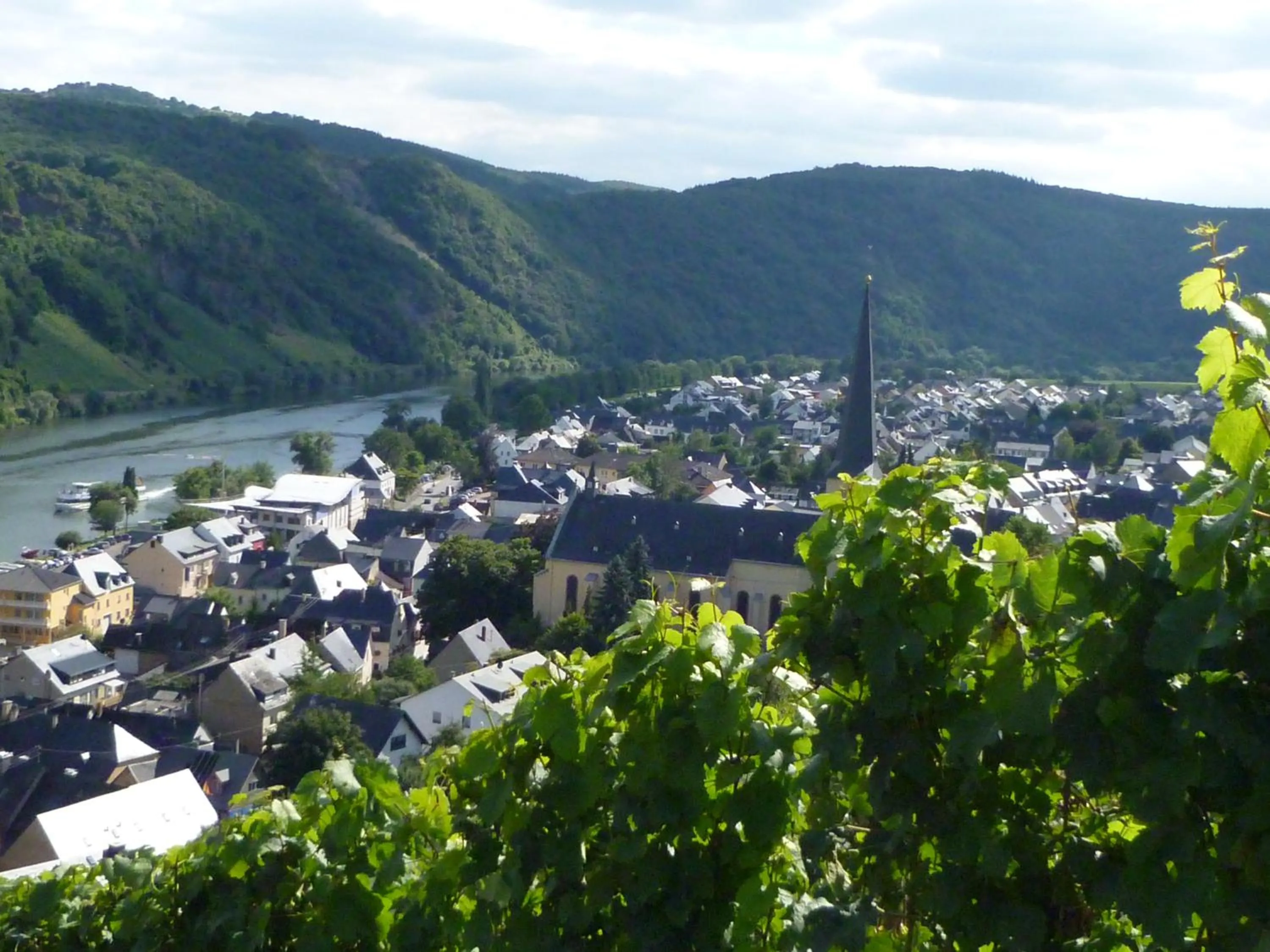 Natural landscape in Der Weinladen
