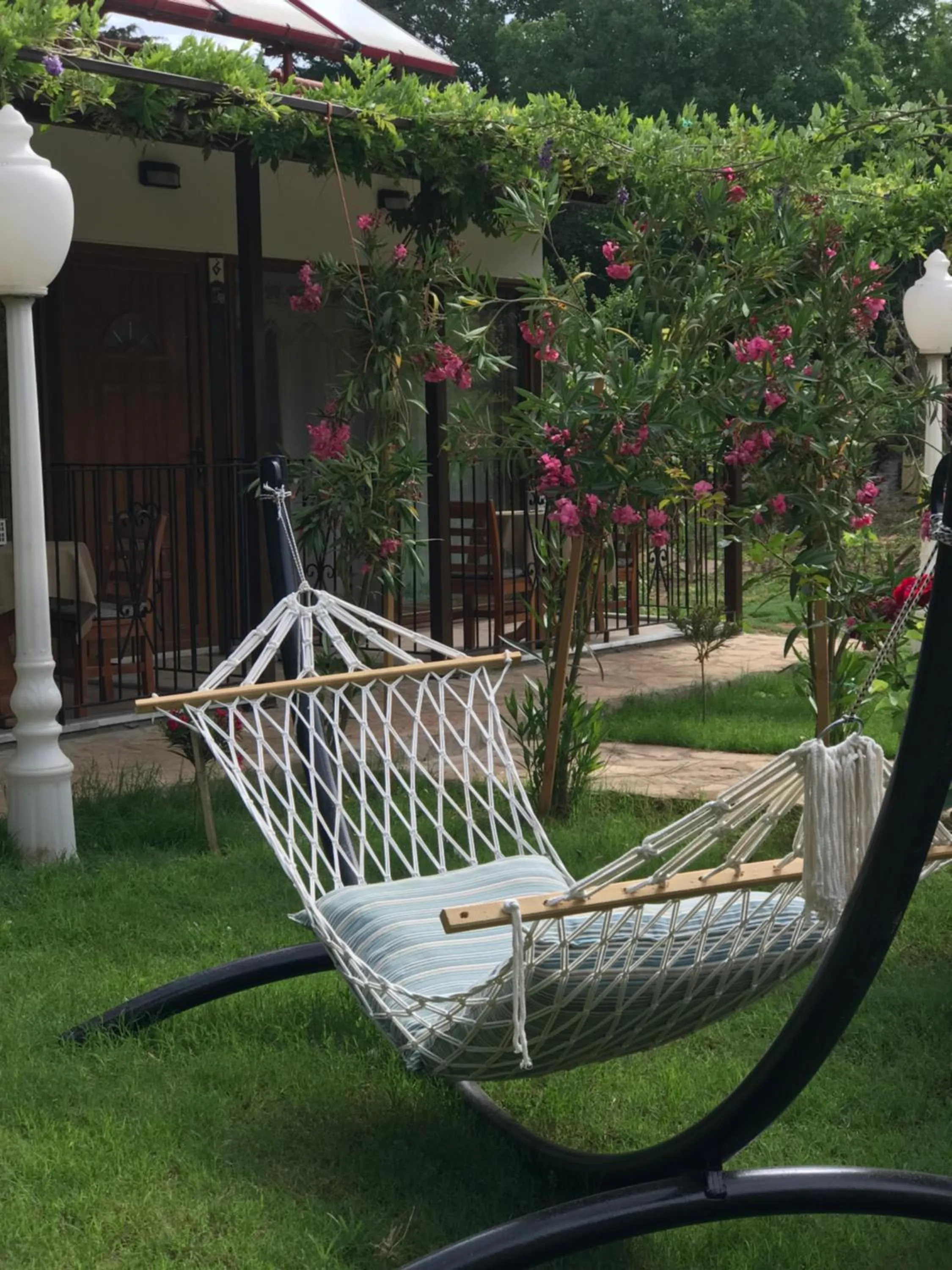 Garden in Pyramid Boutique Hotel