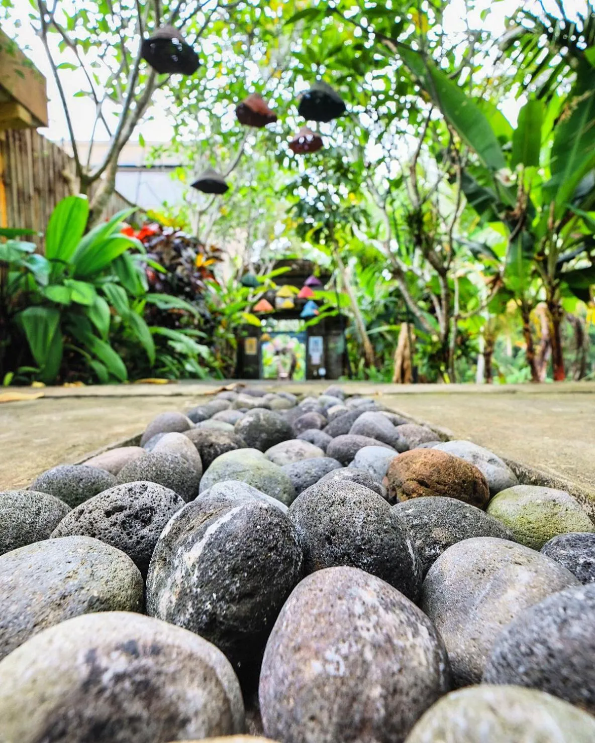 Property building in Alam Sembuwuk Ubud