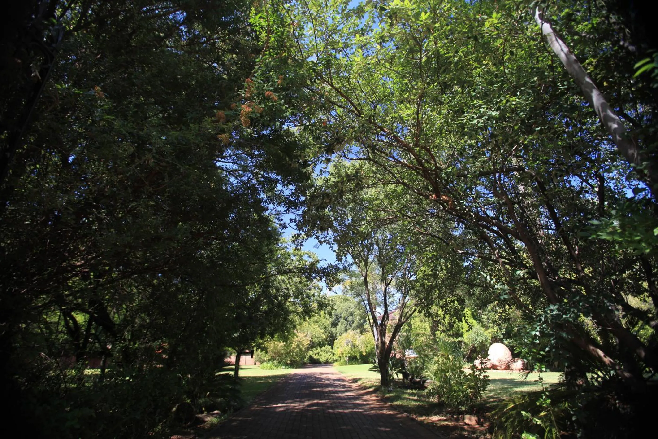 Facade/entrance in Andante Lodge