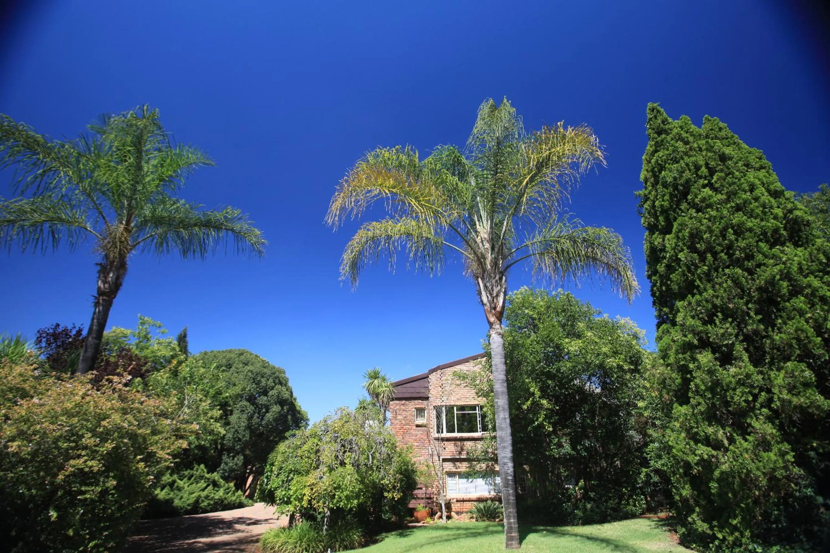 Garden in Andante Lodge