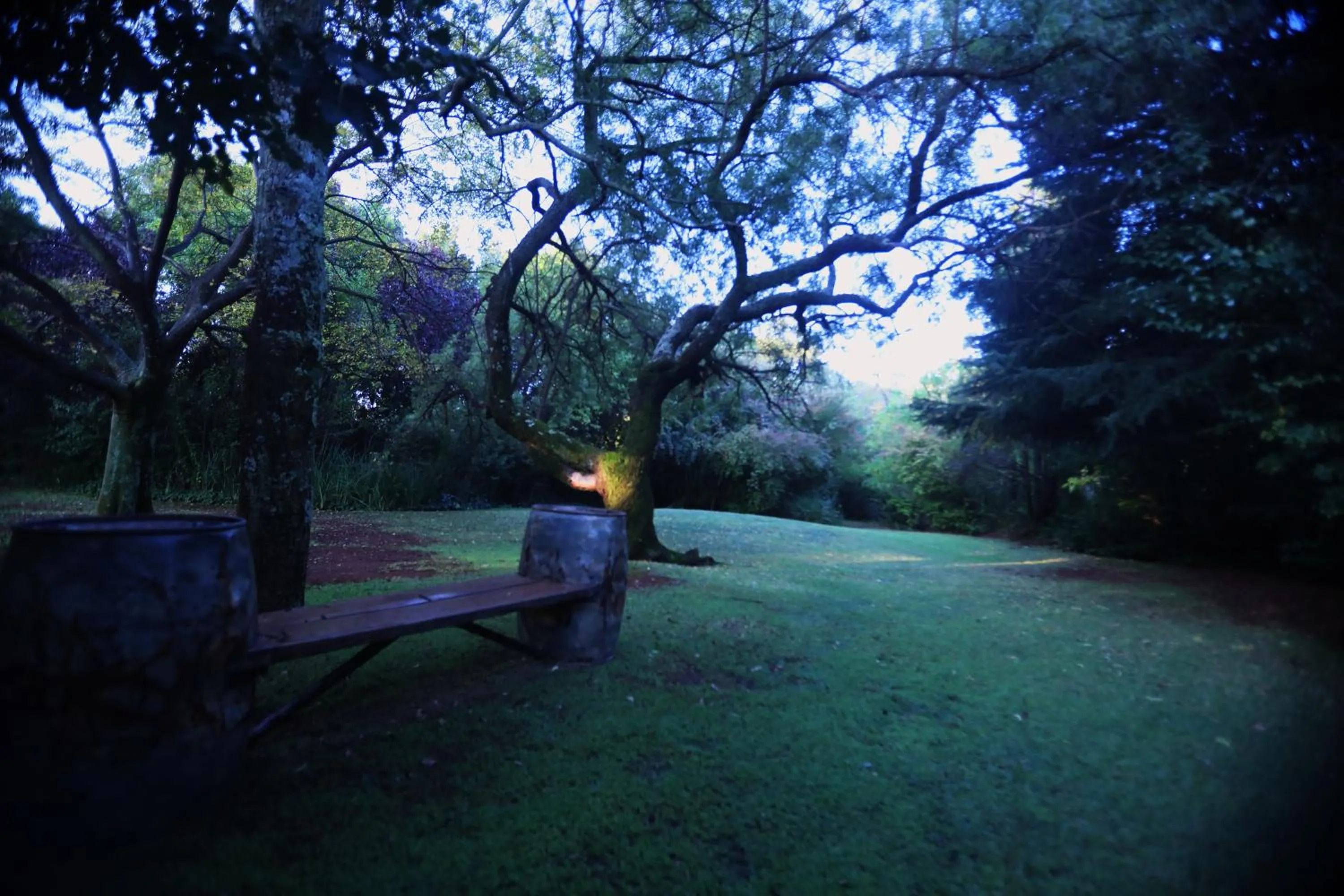 Summer in Andante Lodge