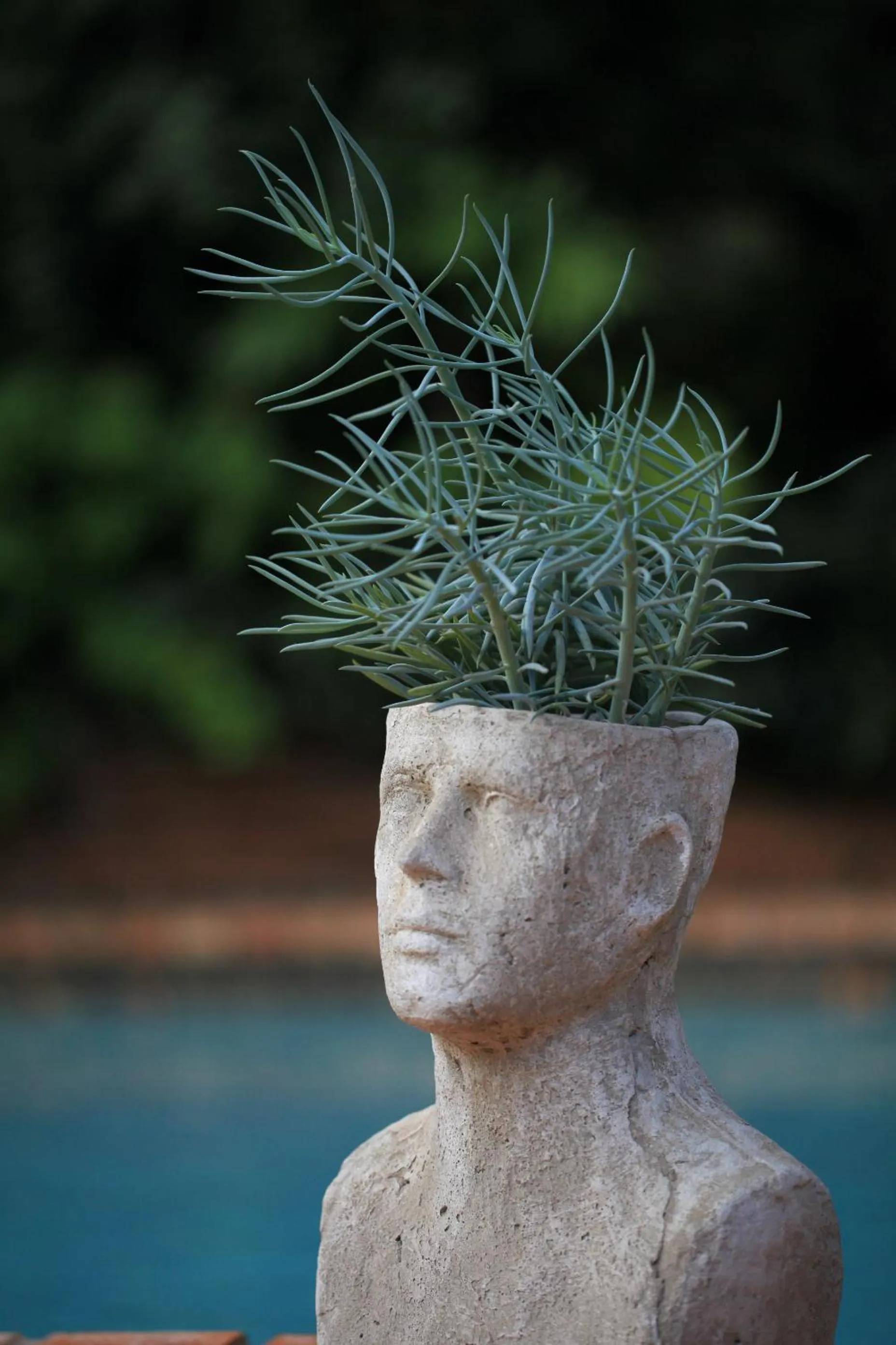 Garden in Andante Lodge