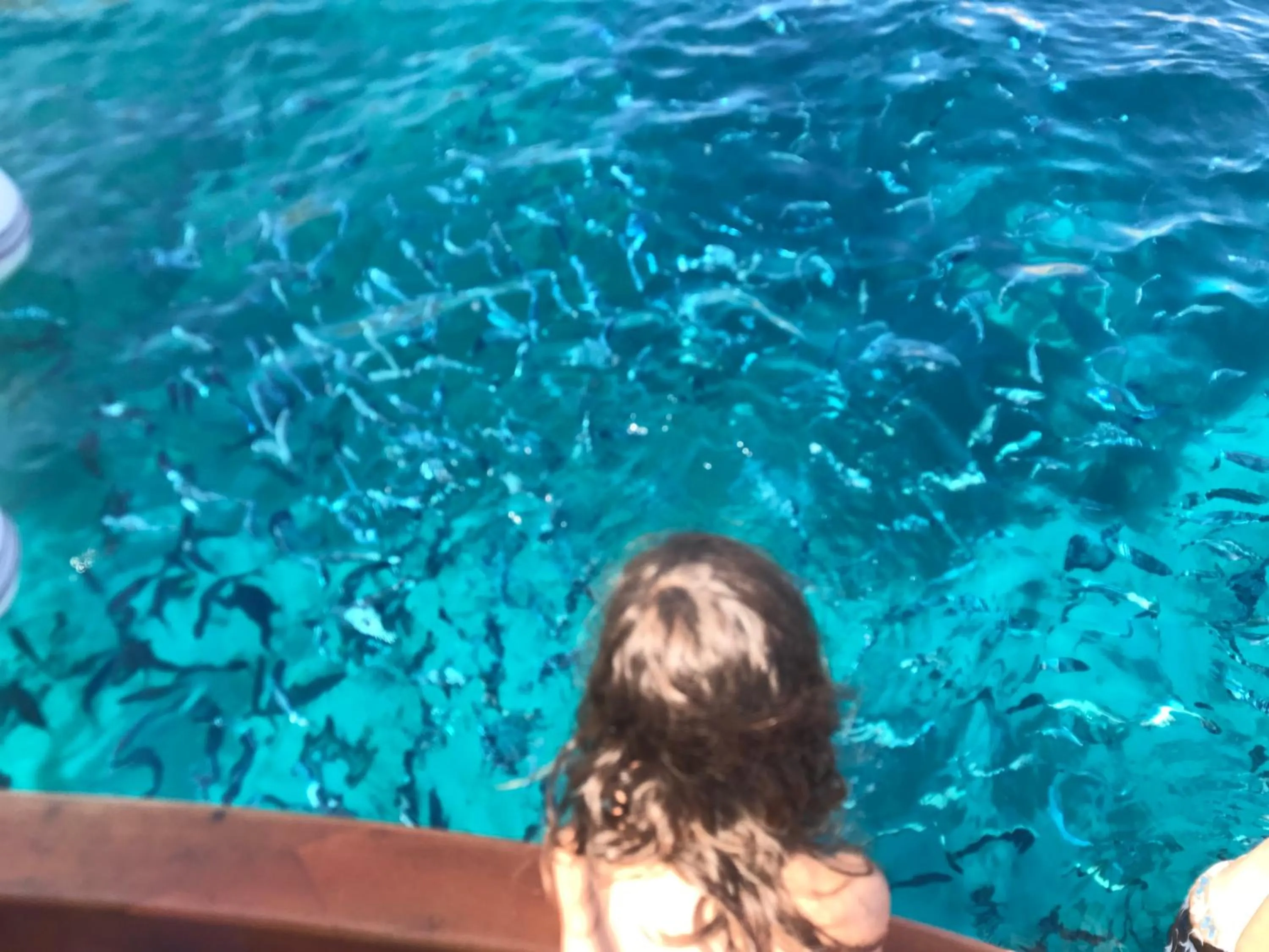 Activities in Casa Ilva