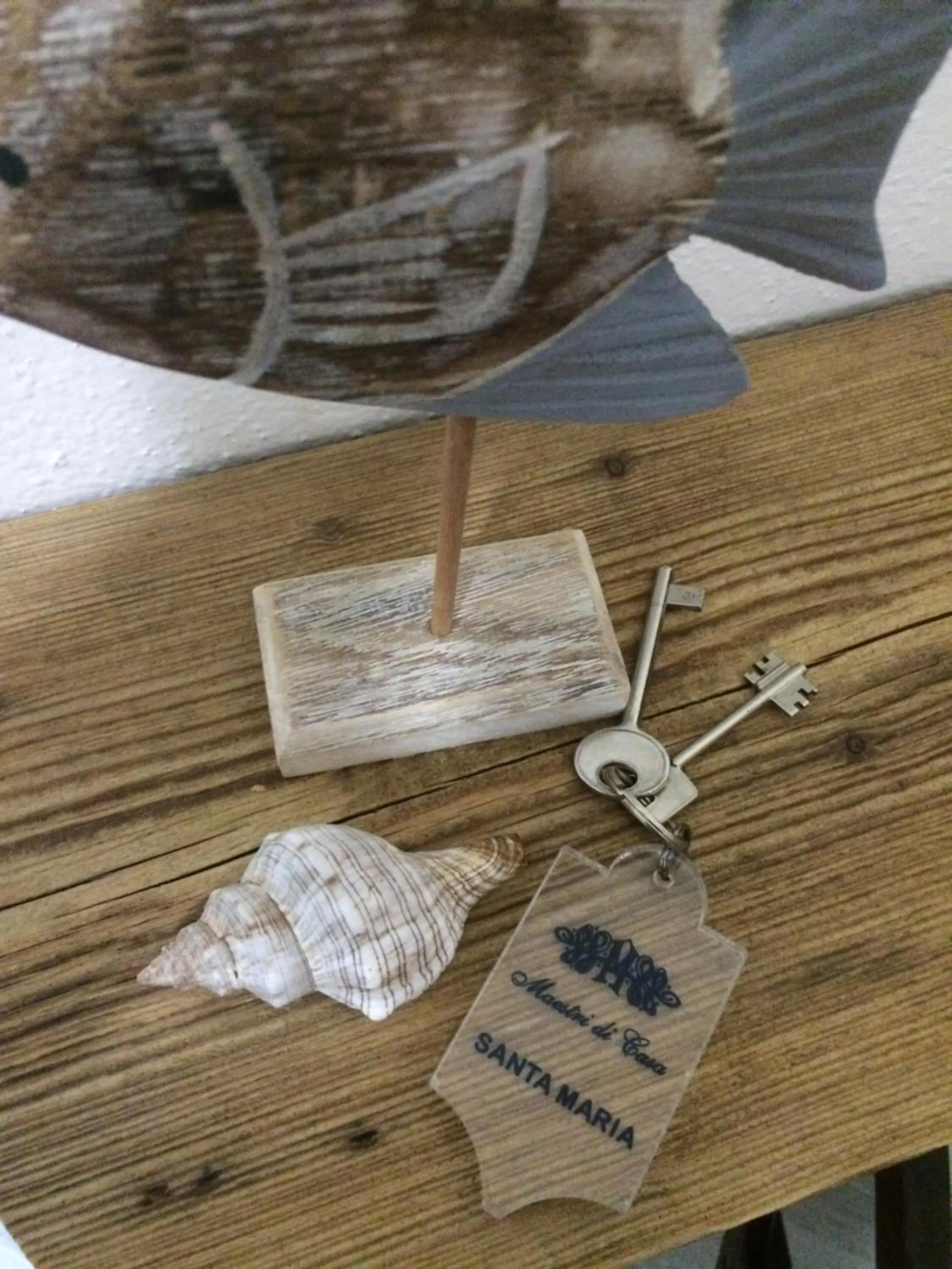 Logo/Certificate/Sign in Casa Ilva