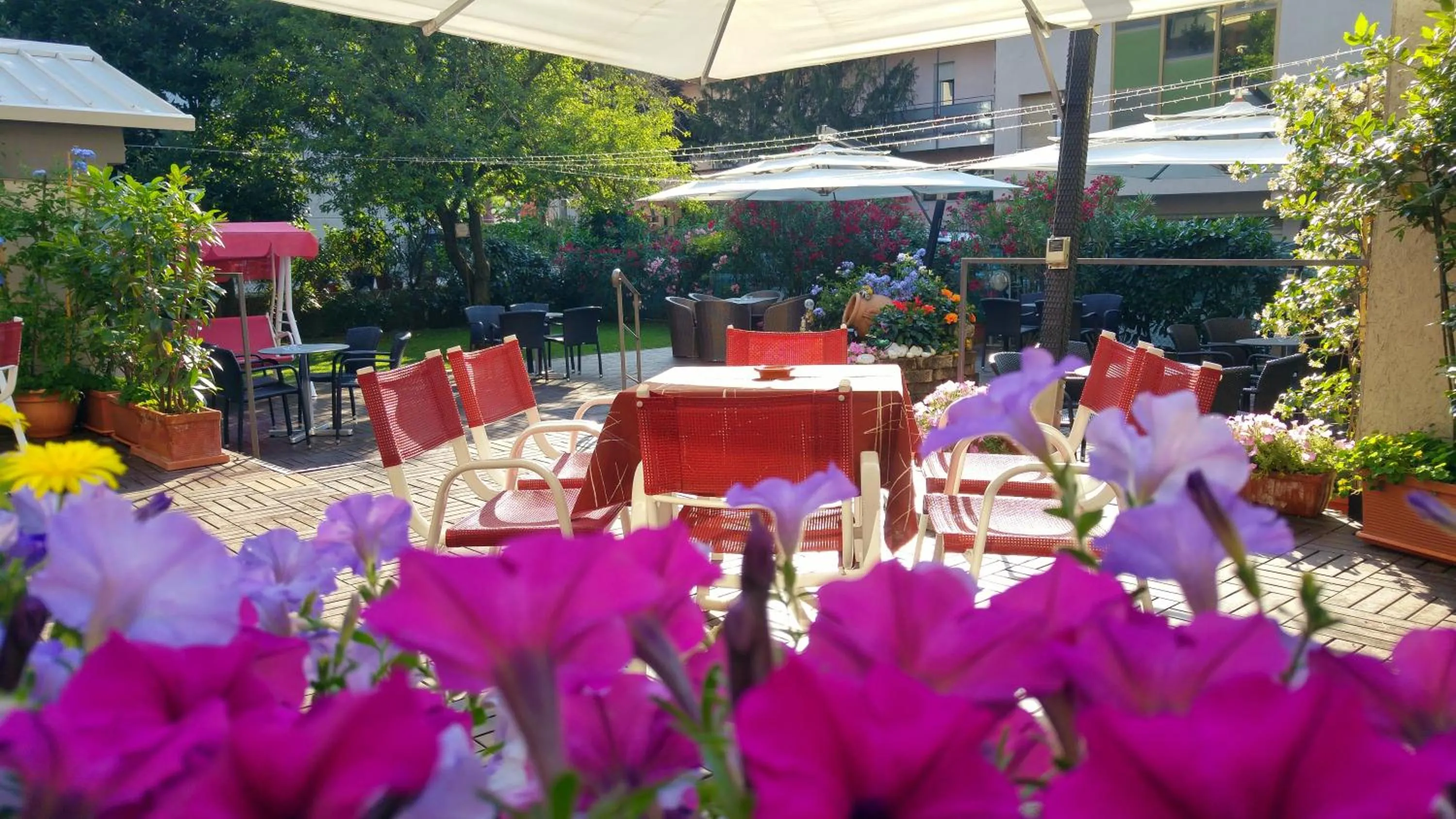 Garden in Hotel Parini