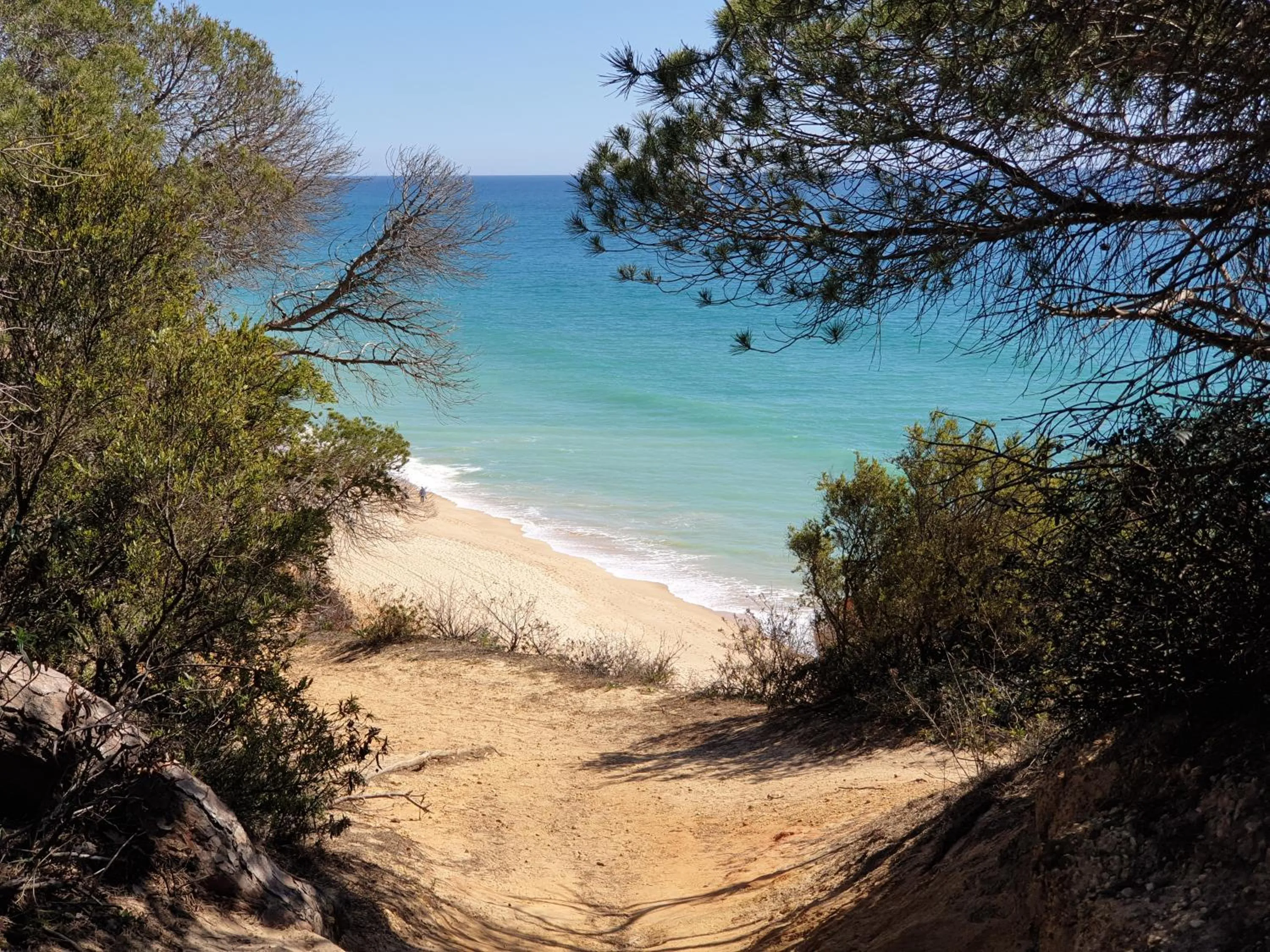 Natural landscape in Albufeira Falesia Beach Apartment