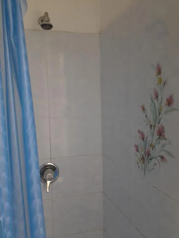 Shower in Hotel Rustichello