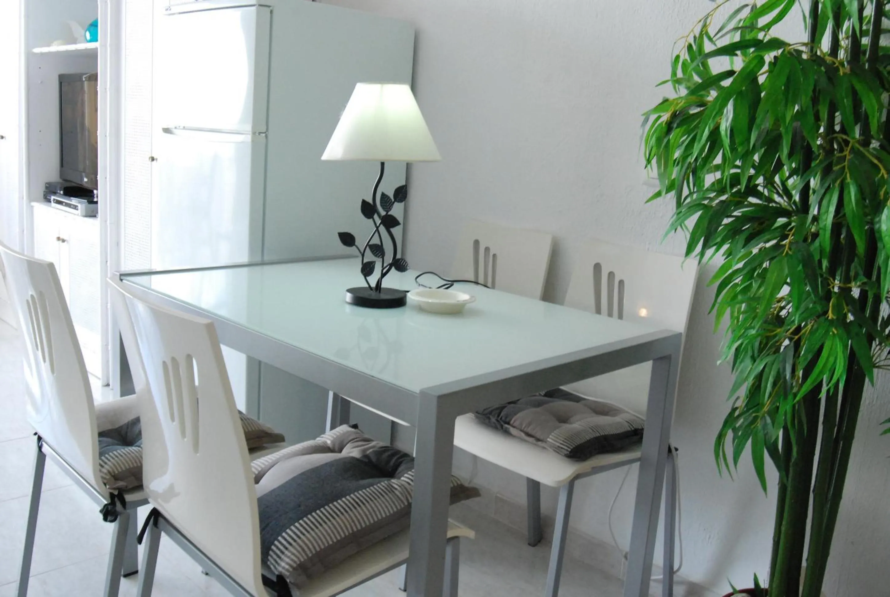 Carabeo 15 Studios Casasol
