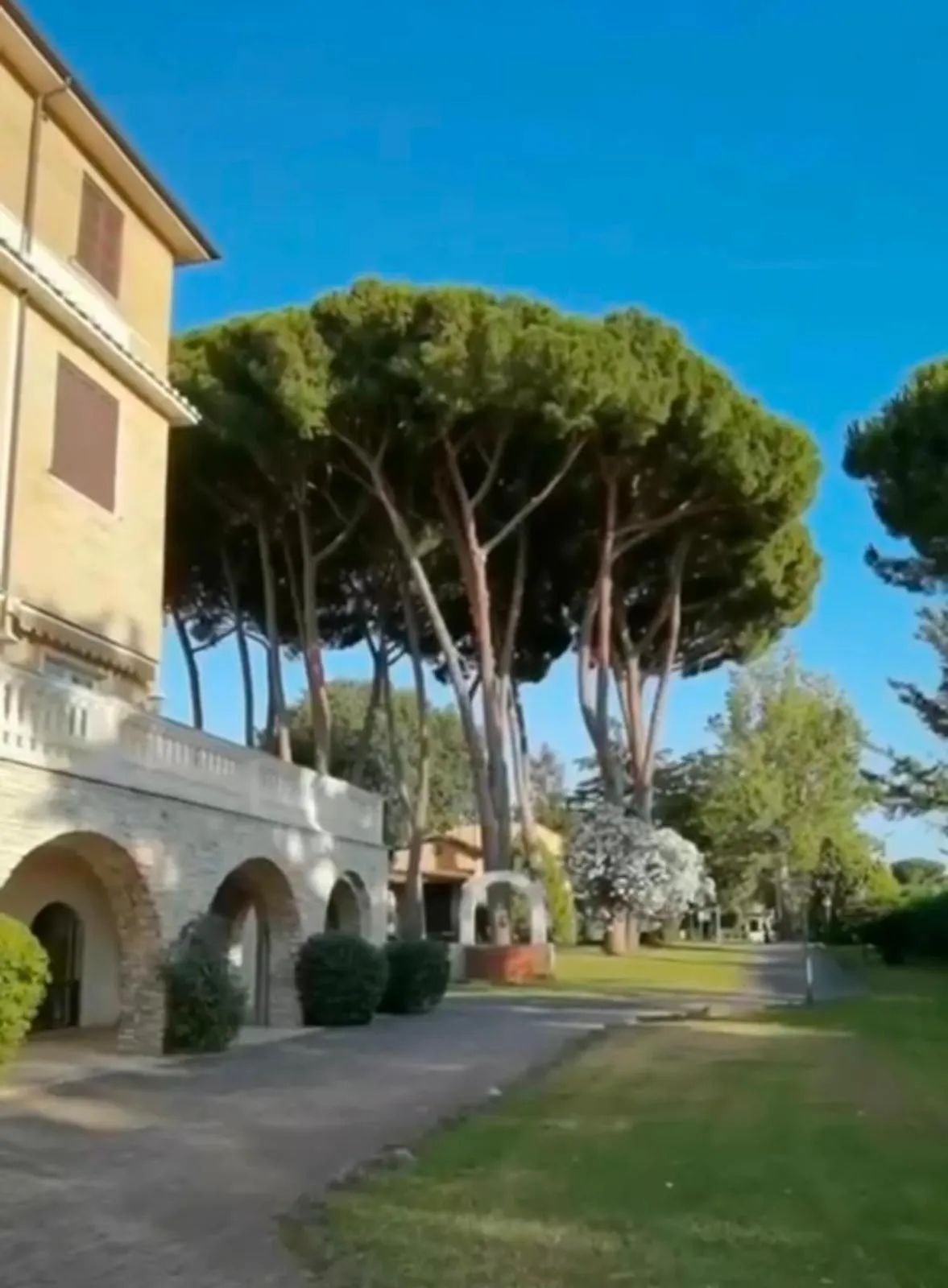 Lobby or reception in Park Hotel Villamaria