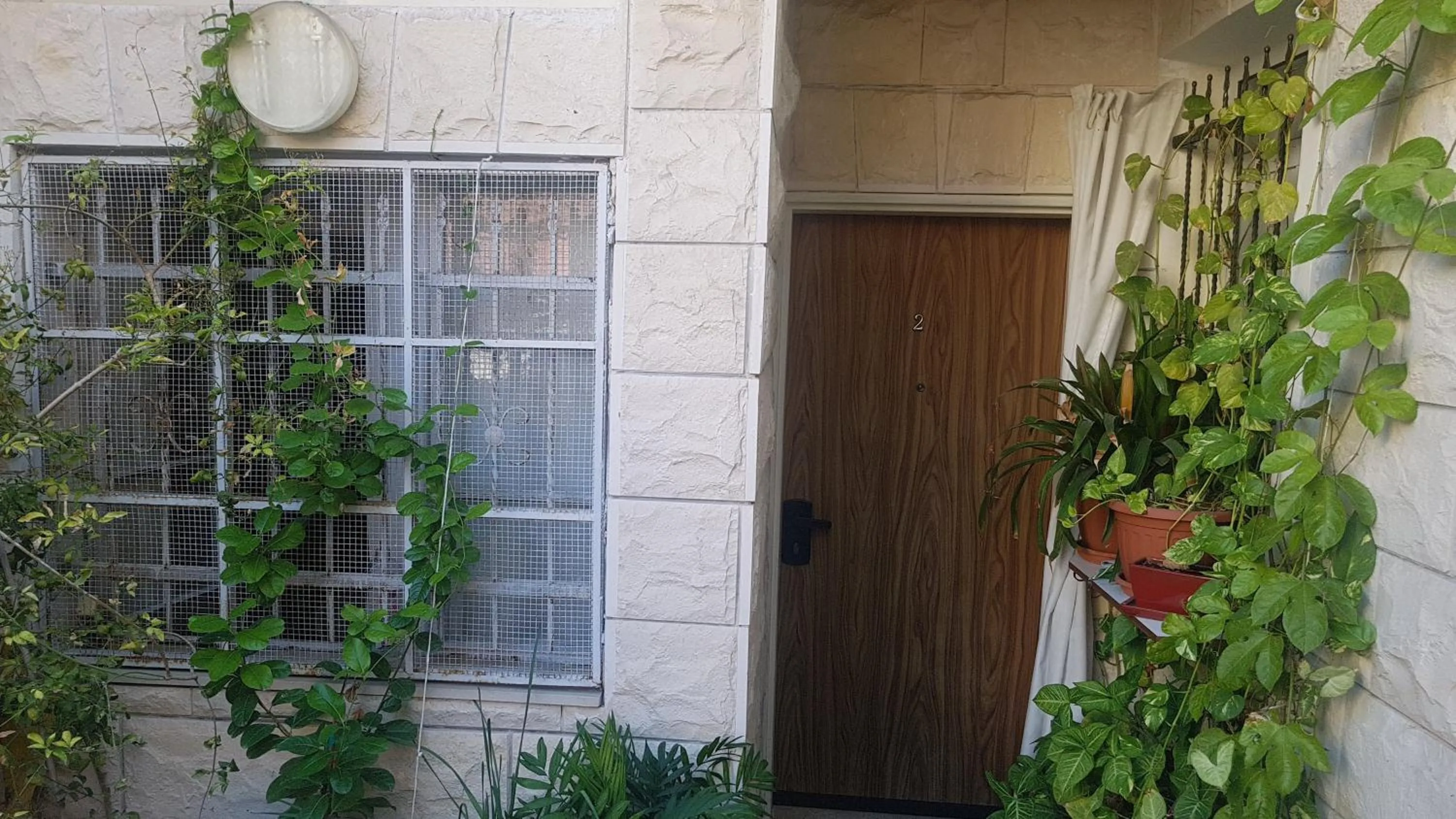One-Bedroom Apartment in Zohar's Apartment