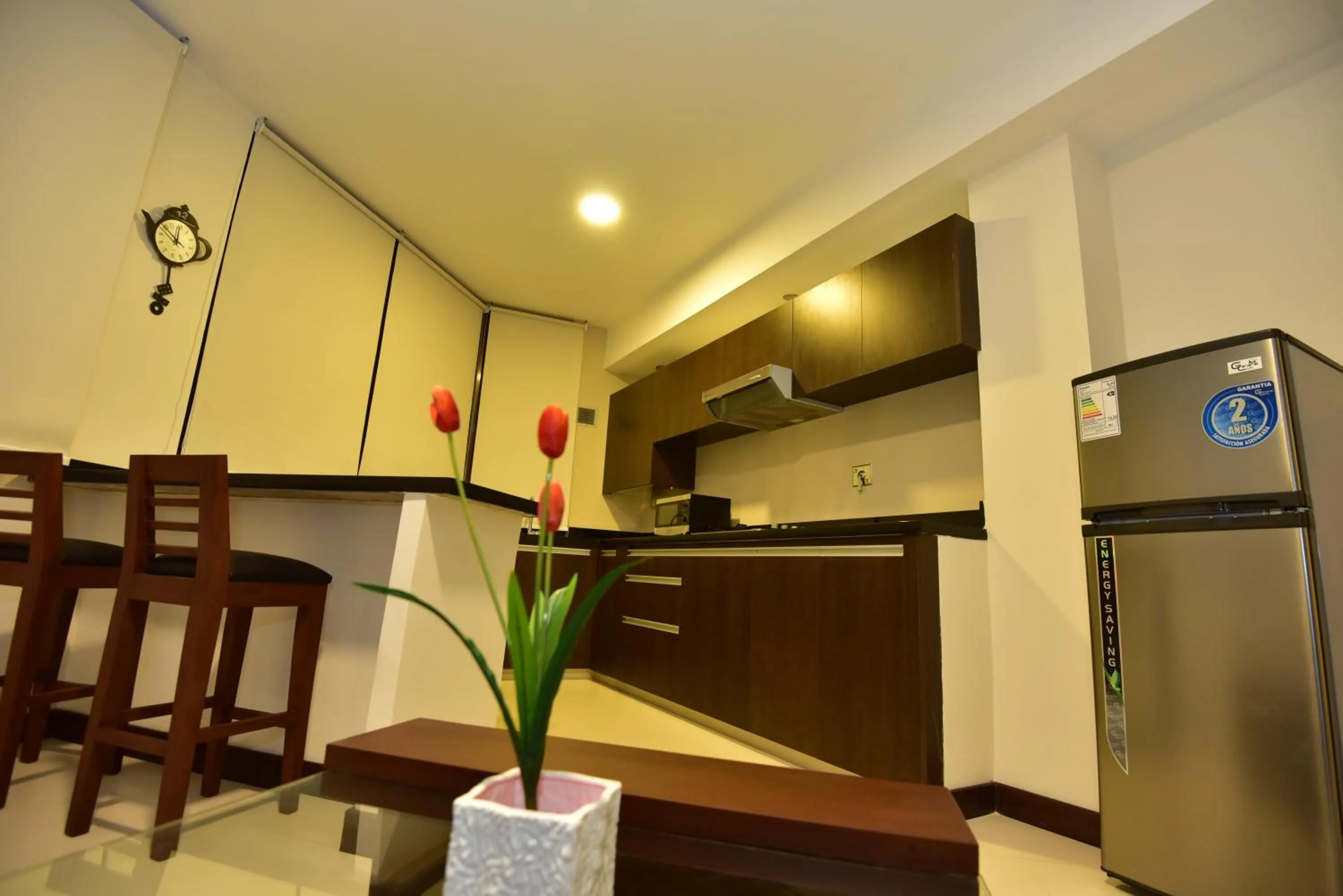 Kitchen or kitchenette in Mai Suites Apart Hotel