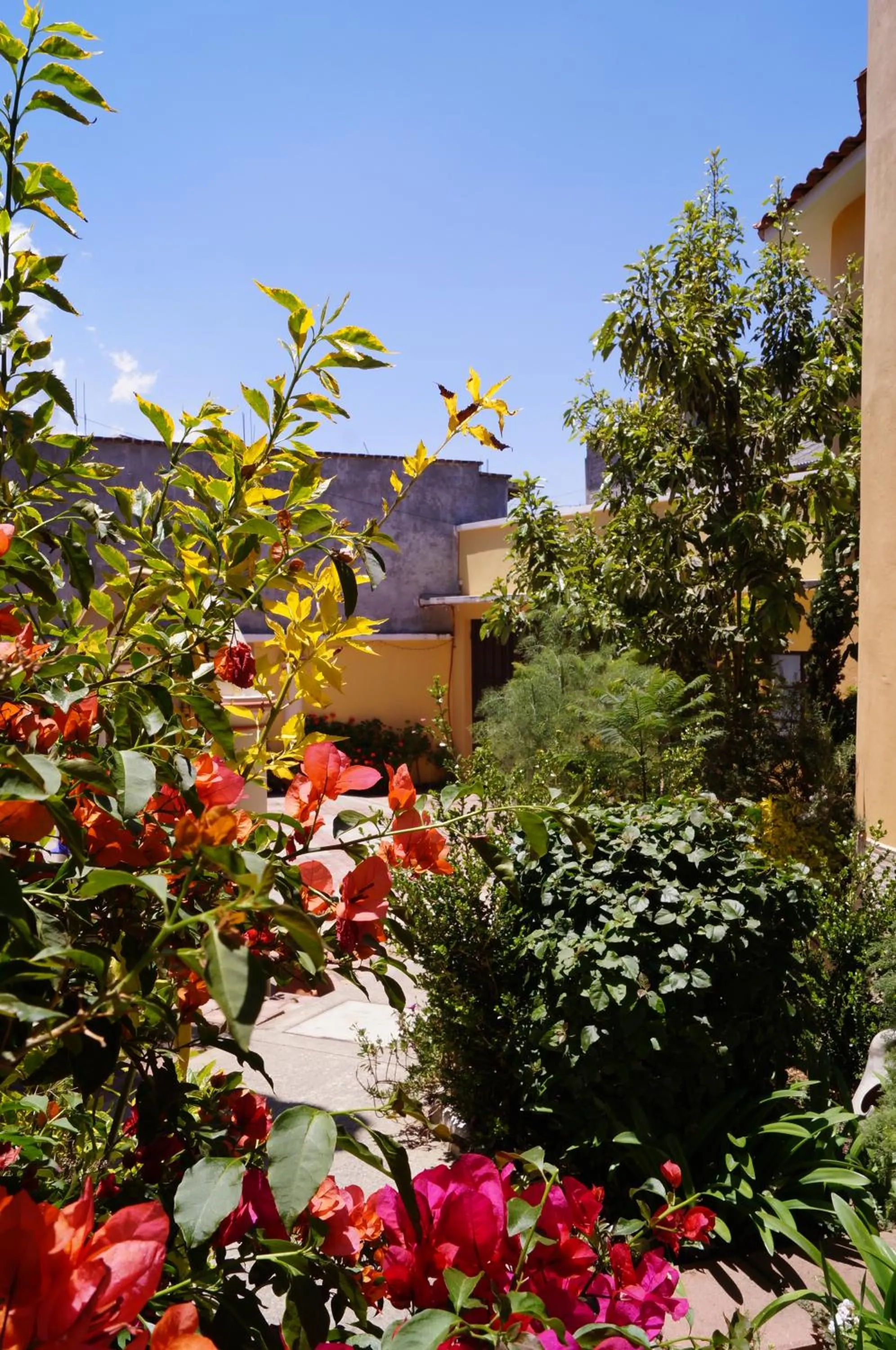 Property building in J&K Suite